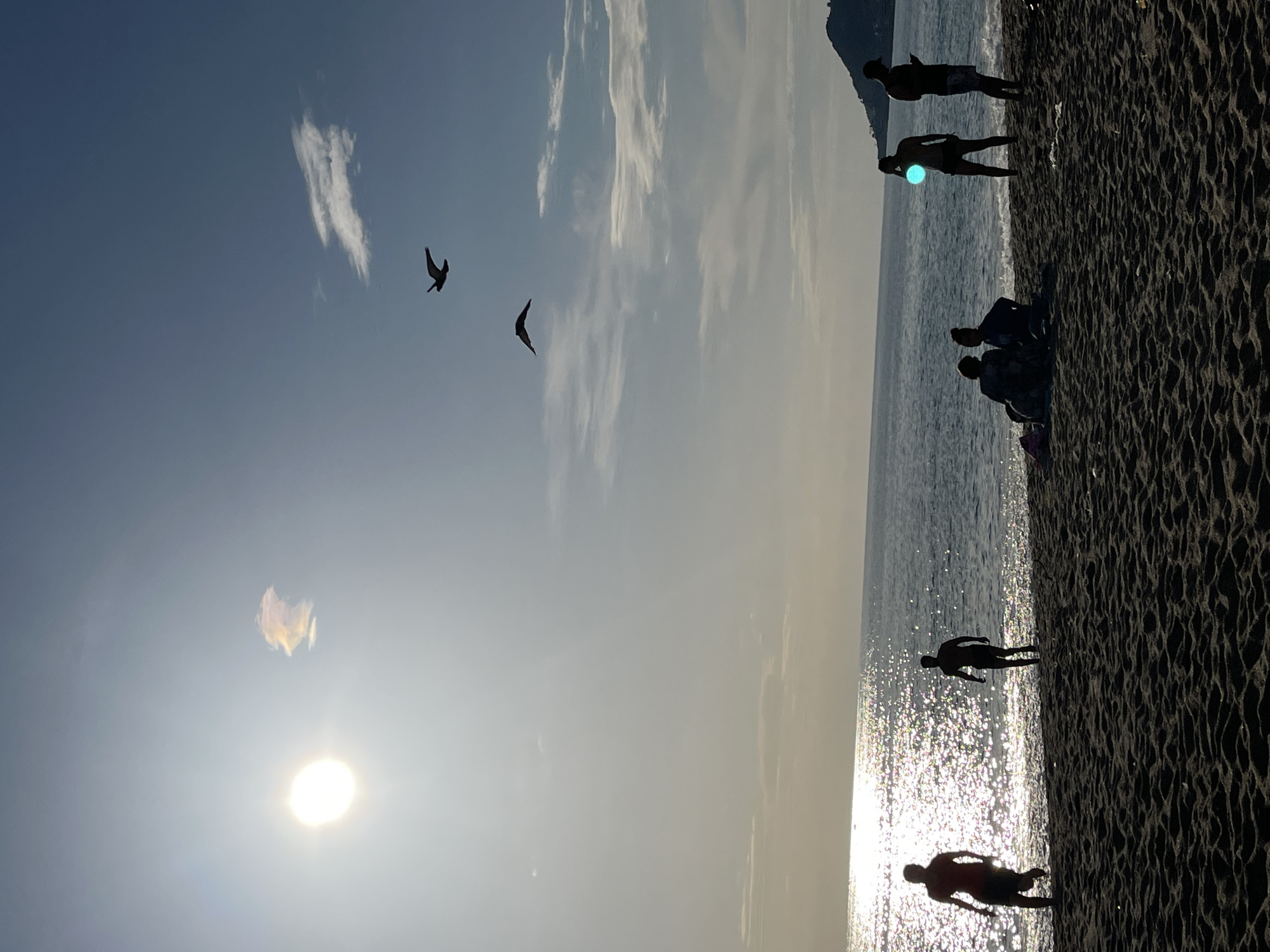 The image captures a sunny beach scene in Alanya, Turkey. The sky is mostly clear with some scattered clouds, and the sun is low in the sky, creating a bright glare on the water. Two birds are flying in the upper left of the frame. Along the beach, several figures are silhouetted against the bright water. Some people are standing at the water's edge, while others are sitting on the sand. The beach itself appears to be sandy and textured. The focus of the image is on the contrast between the bright light of the sky and water and the dark silhouettes of the people and the beach.