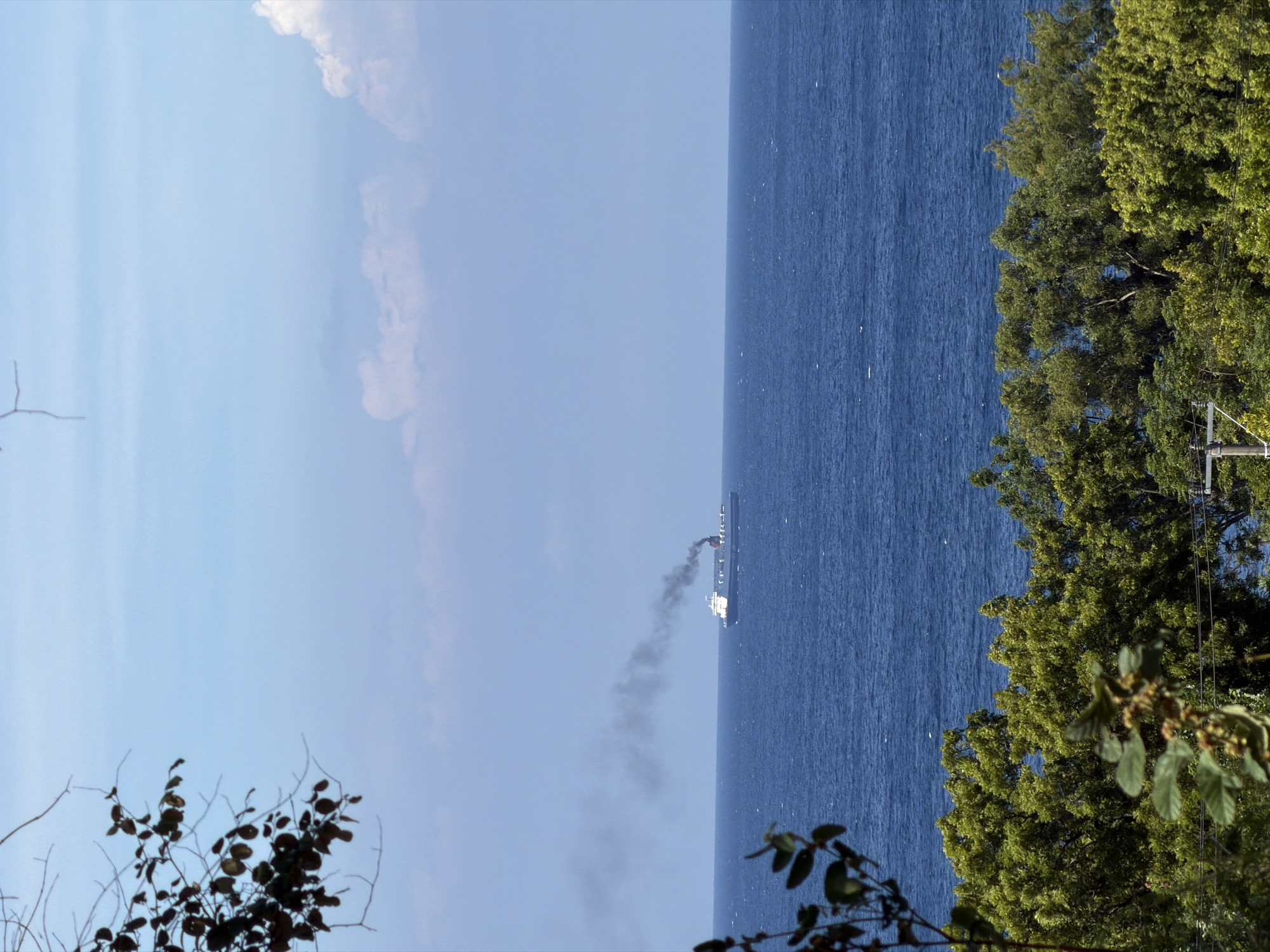 The image shows a view of the ocean, presumably in Kubu, Indonesia, based on the prompt. A ship is visible on the water, emitting a plume of dark smoke. The sky is light blue with some clouds. Trees and vegetation line the right side of the frame. A few branches and leaves are visible in the lower left. A utility pole is partially visible through the trees on the right.