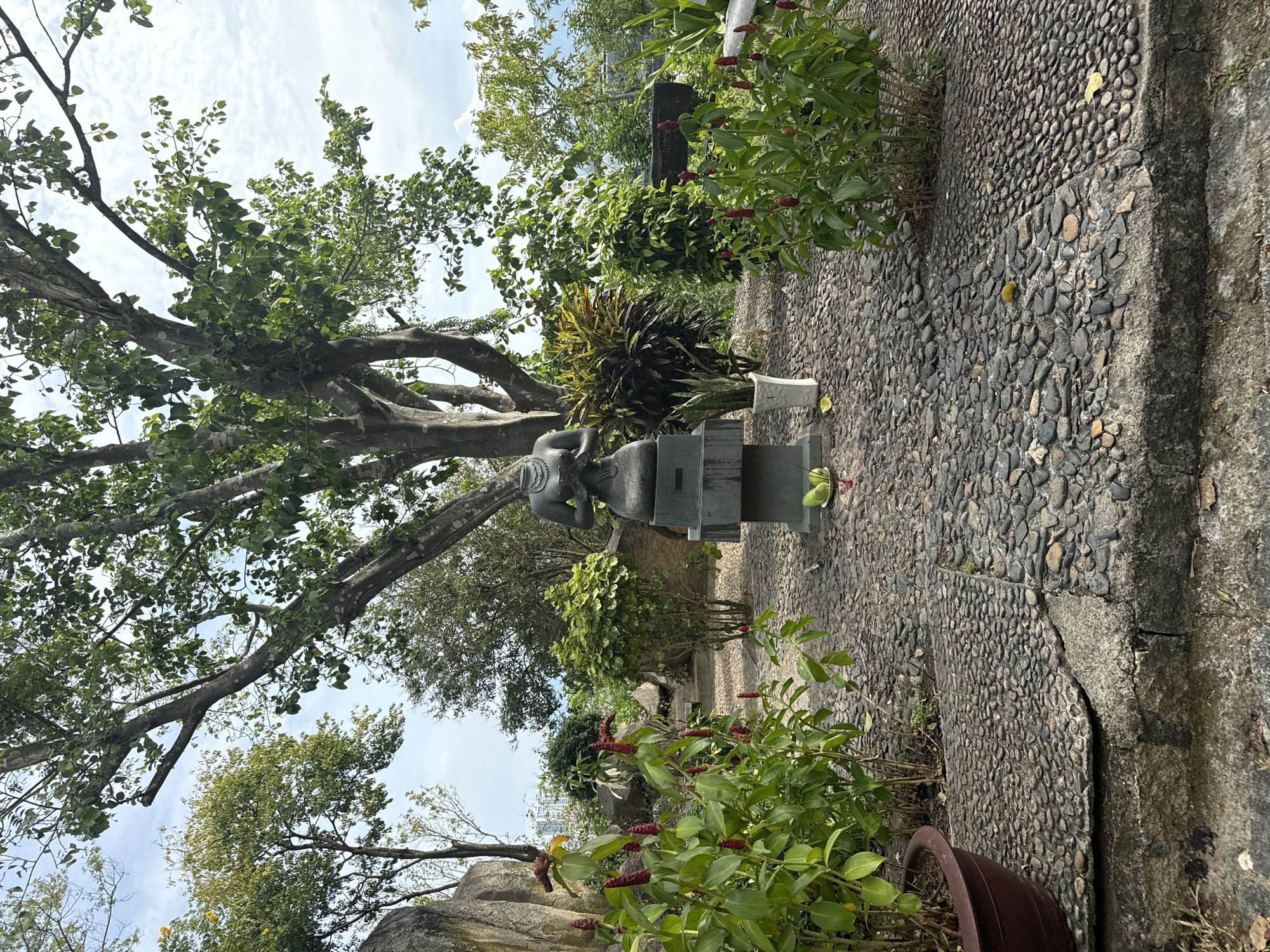 A stone path of small, rounded pebbles leads through a lush outdoor garden in Bac Nha Trang Ward, Vietnam. A gray stone statue of a person in a seated pose stands to the left of the path on a stone pedestal. To the left of the statue, a large, leafy tree provides shade, its branches spreading wide. The path is flanked by various plants, including red flowering plants in pots and other leafy green shrubbery. The sky above is partly cloudy, suggesting daylight.
