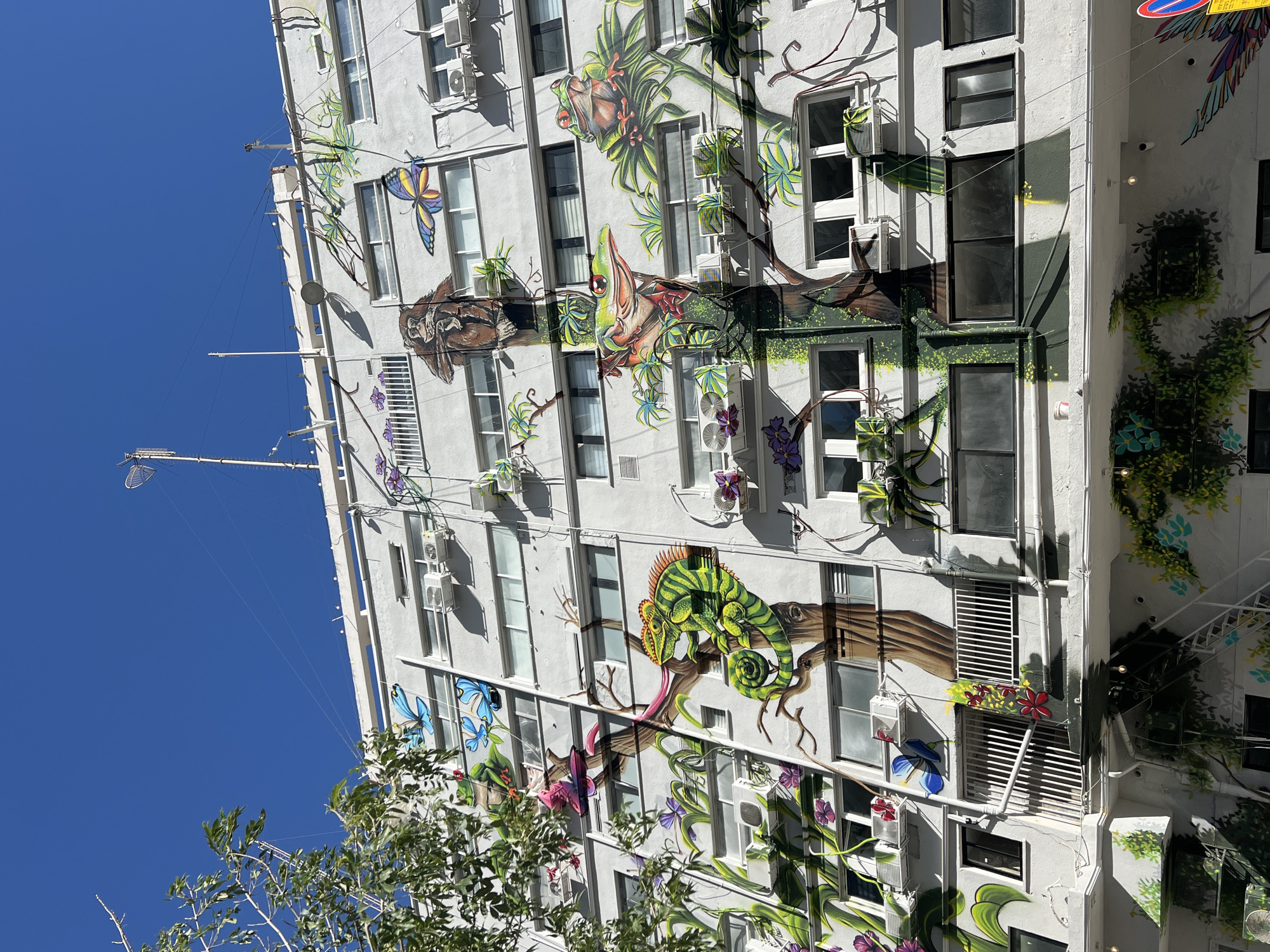 This image captures the facade of a multi-story building in Tel-Aviv, Israel, extensively decorated with a vibrant, nature-themed mural. The building itself is light-colored, likely white or off-white, and features numerous rectangular windows of various sizes, some with external grates, and multiple visible air conditioning units.
The primary subject is the large-scale mural, which depicts a lush, fantastical jungle scene with diverse flora and fauna. Key elements of the mural include several colorful animals: a prominent green chameleon with an outstretched tongue, a green frog, a large yellow and blue butterfly, and an owl-like creature. These animals are integrated into a detailed landscape of painted green foliage, curling vines, tree branches, and brightly colored flowers in shades of purple, red, and blue. The mural cleverly interacts with the building's architectural features, with branches and vines appearing to grow around windows and over air conditioning units.
The scene is set outdoors under a clear, bright blue sky, indicating a sunny day. Strong shadows are cast by the building's features and elements of the mural, confirming the daylight conditions. In the bottom left and right foreground, the leafy branches of real trees are visible, partially framing the building. To the left, against the blue sky, several utility poles, wires, and antenna structures are also present, typical of an urban setting. No decipherable text is clearly visible on the building or mural.