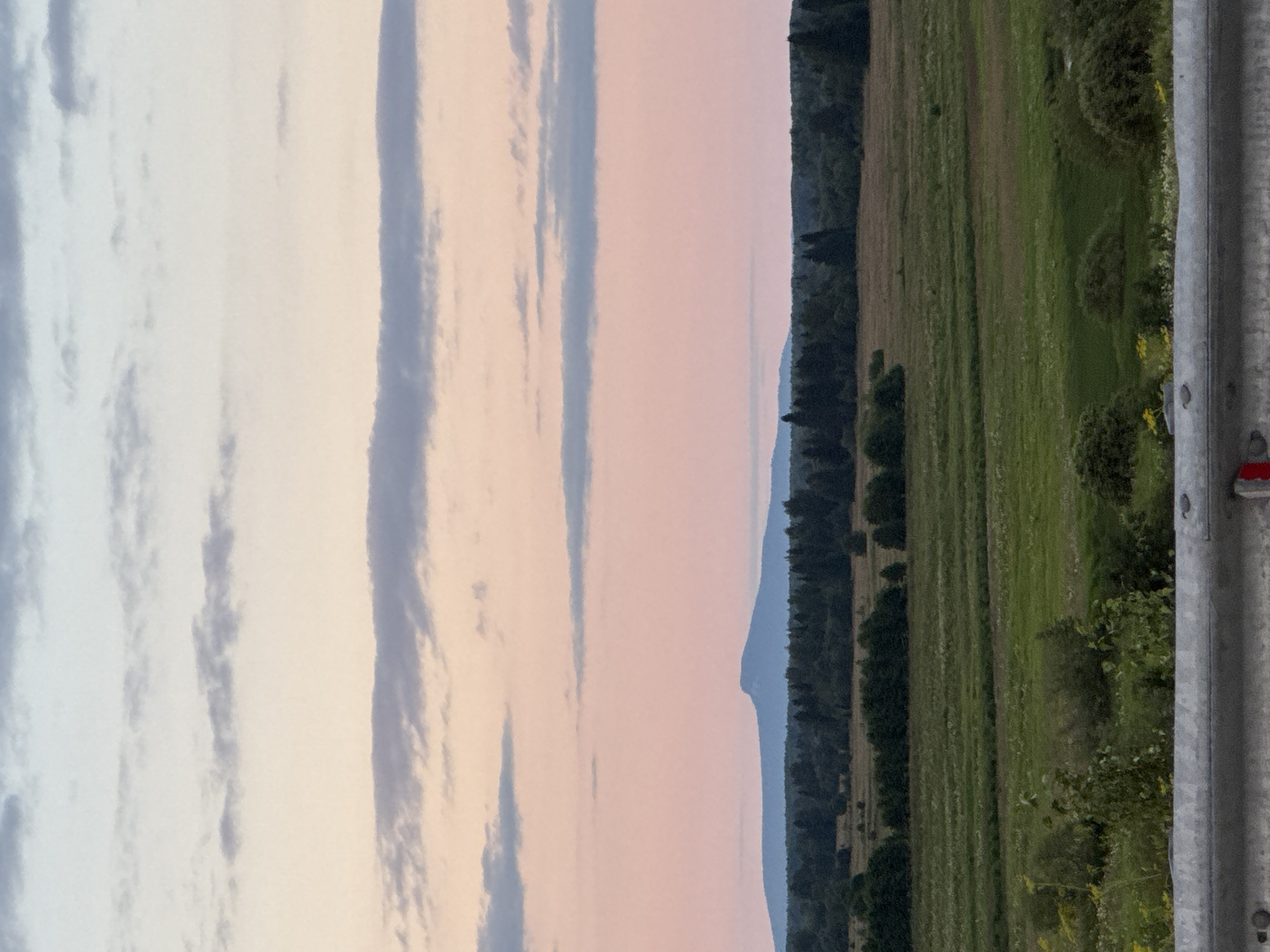 This is a landscape photograph taken during the golden hour in Ryabinino, Russia. The foreground is dominated by a grey concrete barrier with red and white markings. Beyond the barrier, a vast, rolling field is visible, with strips of varying green vegetation suggesting agricultural use or natural growth. The middle ground features a dense line of dark green trees, forming a natural border. In the far distance, a mountain range is silhouetted against a soft pink and pale blue sky, indicative of either sunrise or sunset. Wispy clouds stretch across the horizon, adding texture to the sky. There are no people or animals visible in the image, and the scene is static and peaceful.