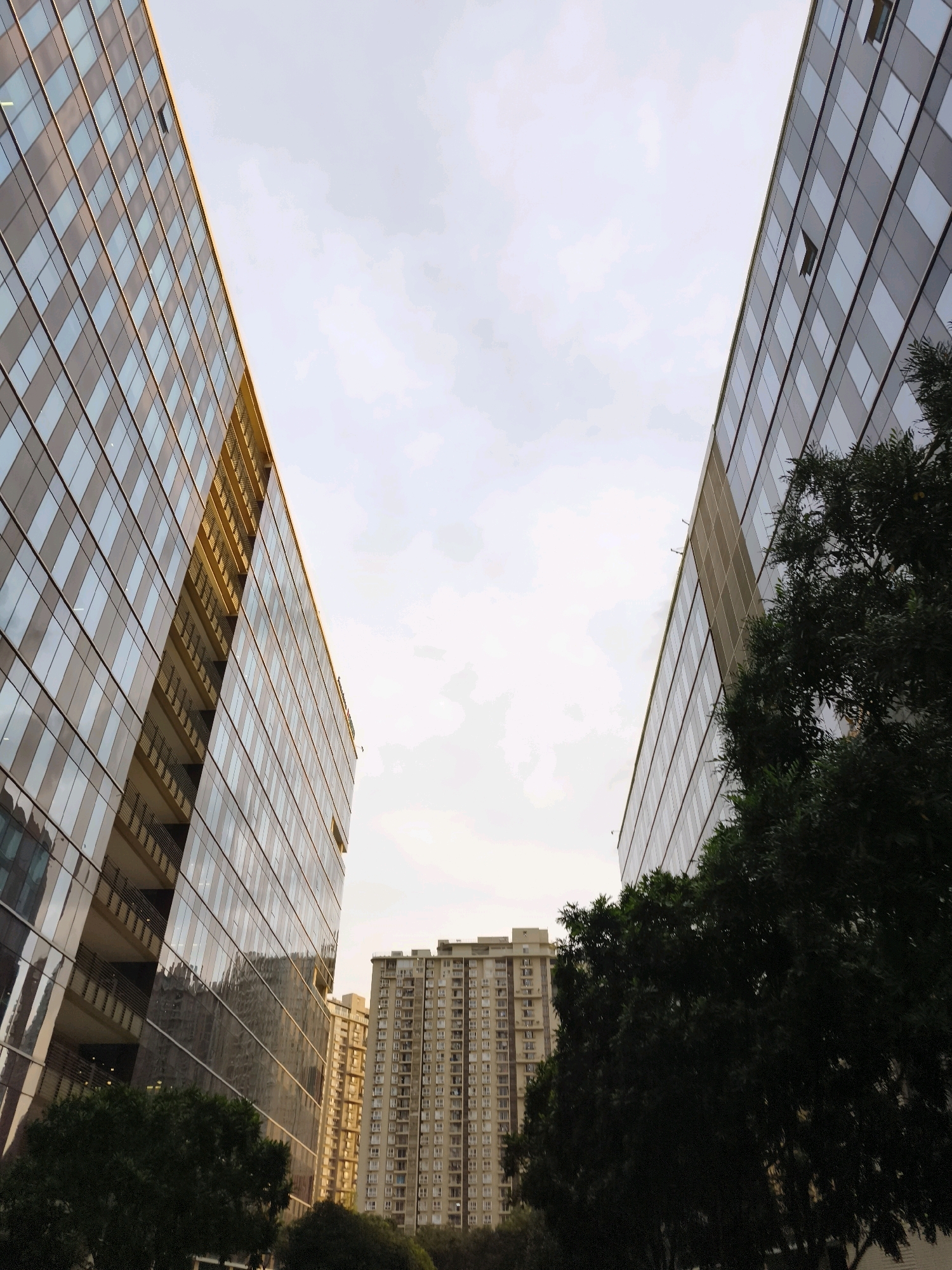 This is a low-angle shot of modern buildings in Bengaluru, India, framed by the sky. Two glass-fronted buildings, possibly office blocks or apartments, dominate the foreground, angled towards each other, creating a V-shape that draws the eye upwards. The building on the left features a grid pattern of windows and balconies, with a warm golden light reflecting from within, suggesting internal illumination or evening sun. The building on the right mirrors this design, with a few open windows visible. In the middle distance, a taller, older residential building with numerous balconies and windows stands out, its facade a lighter, more muted tone. Dark green trees with dense foliage are interspersed at the bottom of the frame, obscuring the lower levels of the modern buildings and the ground. The sky above is a hazy white, with subtle cloud formations, indicating either an overcast day or the soft light of dawn or dusk. The overall impression is one of urban density and architectural modernity contrasted with natural elements.