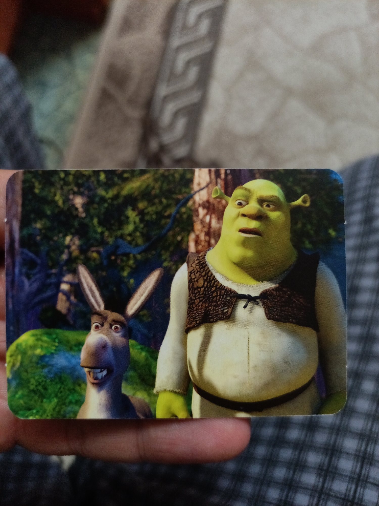 The image shows a person holding a rectangular trading card featuring characters from the movie Shrek. On the left of the card is Donkey, a brown donkey with large ears and wide eyes. On the right is Shrek, a large green ogre with a surprised expression. Both characters are depicted in a forest setting. The card is held over a checkered fabric. The image does not contain any identifiable information or landmarks related to Nyagan, Russia.