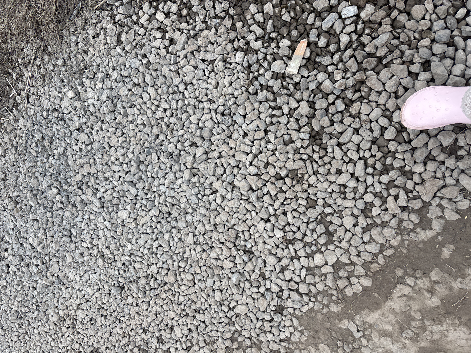 The image shows a gravel path or surface, possibly in a semi-rural area, given the presence of dry grass at the upper left. The gravel consists of small, irregularly shaped gray rocks. A portion of a pink slipper, likely worn by a child, is visible at the upper right. Near the slipper, and slightly to the left, there is a small, elongated object with a light beige or tan color, appearing to be another small rock or fragment. The gravel transitions to a muddy or dirt surface at the bottom right of the frame. Given the prompt, the location is assumed to be within the city of Ферма, Russia. No people are entirely in the image.
