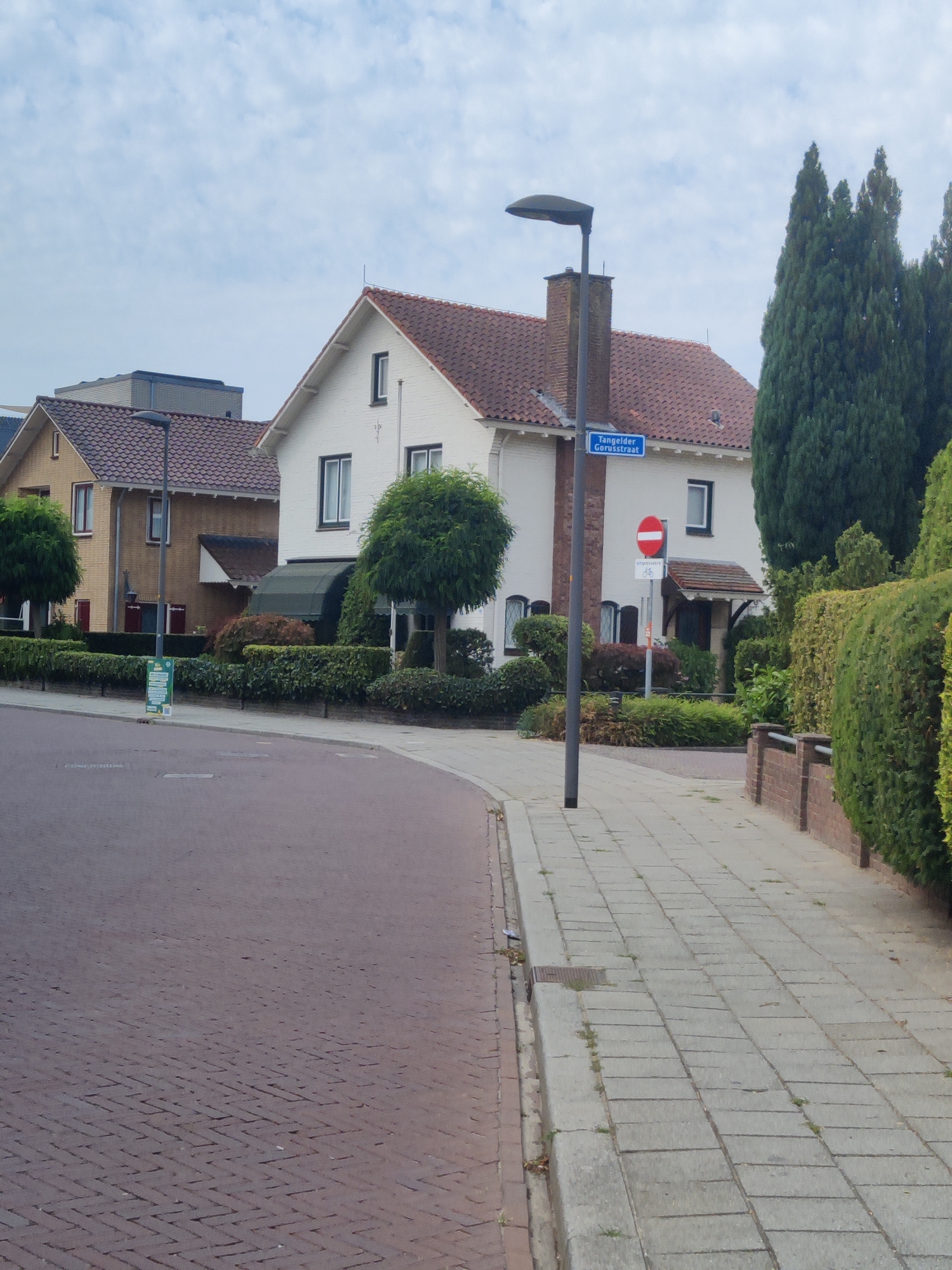 This is a photograph of a street scene in Winterswijk, Netherlands. In the foreground, a reddish-brown brick road curves to the right, with a grey concrete sidewalk running alongside it. A street lamp with a dark grey pole stands on the sidewalk. A signpost with a blue street sign labeled "Tangelder Gorussstraat" is visible. Below the street sign, there is a red and white circular traffic sign with a horizontal bar, indicating no entry. A smaller sign with a bicycle icon is also present.
Behind the sidewalk are two houses. The house on the left is yellow brick with a red-tiled roof and red window shutters. The house on the right is white with a red-tiled roof. Both houses have green hedges in front of them. Several trees are also visible, including tall, slender evergreen trees on the right side of the frame and round, bushy trees in front of the houses. The sky is overcast with scattered clouds. The scene appears to be a residential street on a cloudy day.