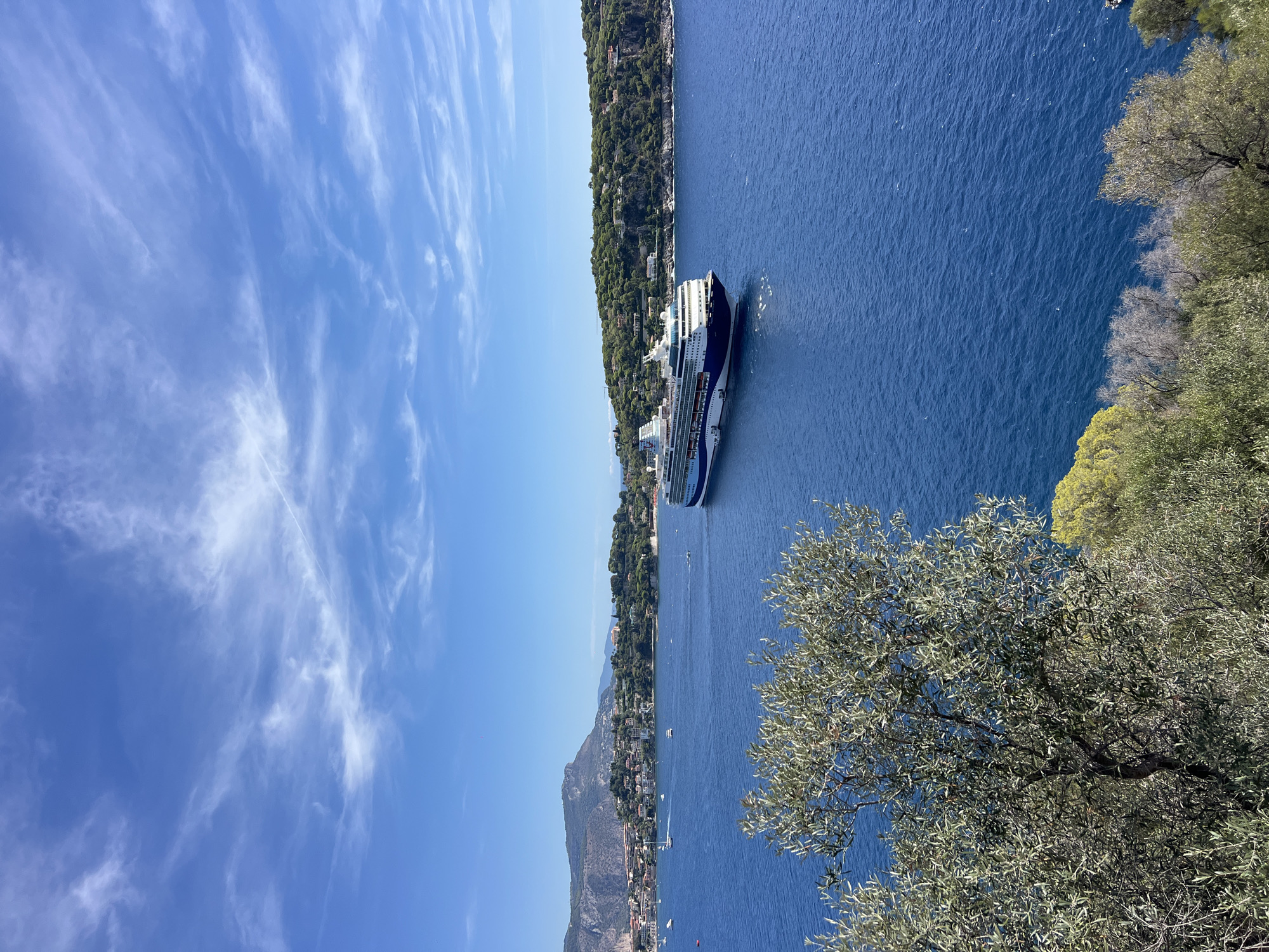 A cruise ship sails on a bright blue sea under a sky filled with wispy white clouds. The ship, primarily dark blue and white, has multiple decks and appears to be moving away from the viewer towards a distant, green, tree-covered coastline. The coastline is dotted with buildings and mountains rise in the background, suggesting an urban or semi-urban setting. In the foreground, a lush green tree with silvery leaves partially obscures the view of the sea, and more greenery can be seen on the right side of the image. Several smaller boats are scattered on the water, and some appear to be anchored near the shore. The scene is bathed in bright sunlight, casting subtle shadows and highlighting the rich colors of the landscape and water. The overall impression is one of a serene and picturesque coastal environment, likely in a Mediterranean location like Nice, France, given the characteristic azure sea and hilly terrain.