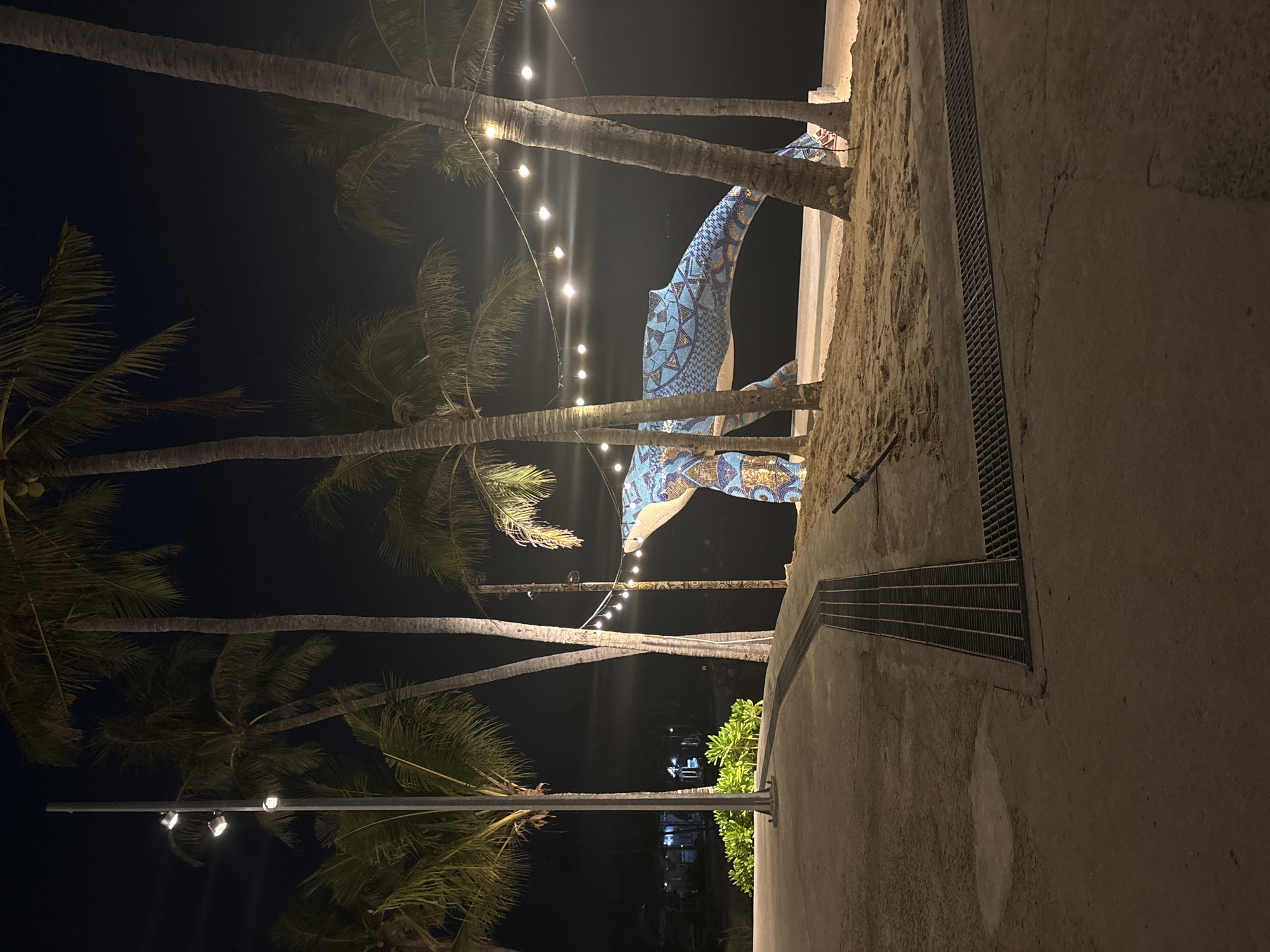 The image depicts a night scene in the Bac Natural Heritage Area Trang, Vietnam. Palm trees line the scene, illuminated by strings of lights. A large, mosaic-covered statue of a marine animal, possibly a whale or dolphin, arches in the background. The scene is framed by a concrete structure with a metal grate drainage system. Street lights and other buildings are visible in the distance.