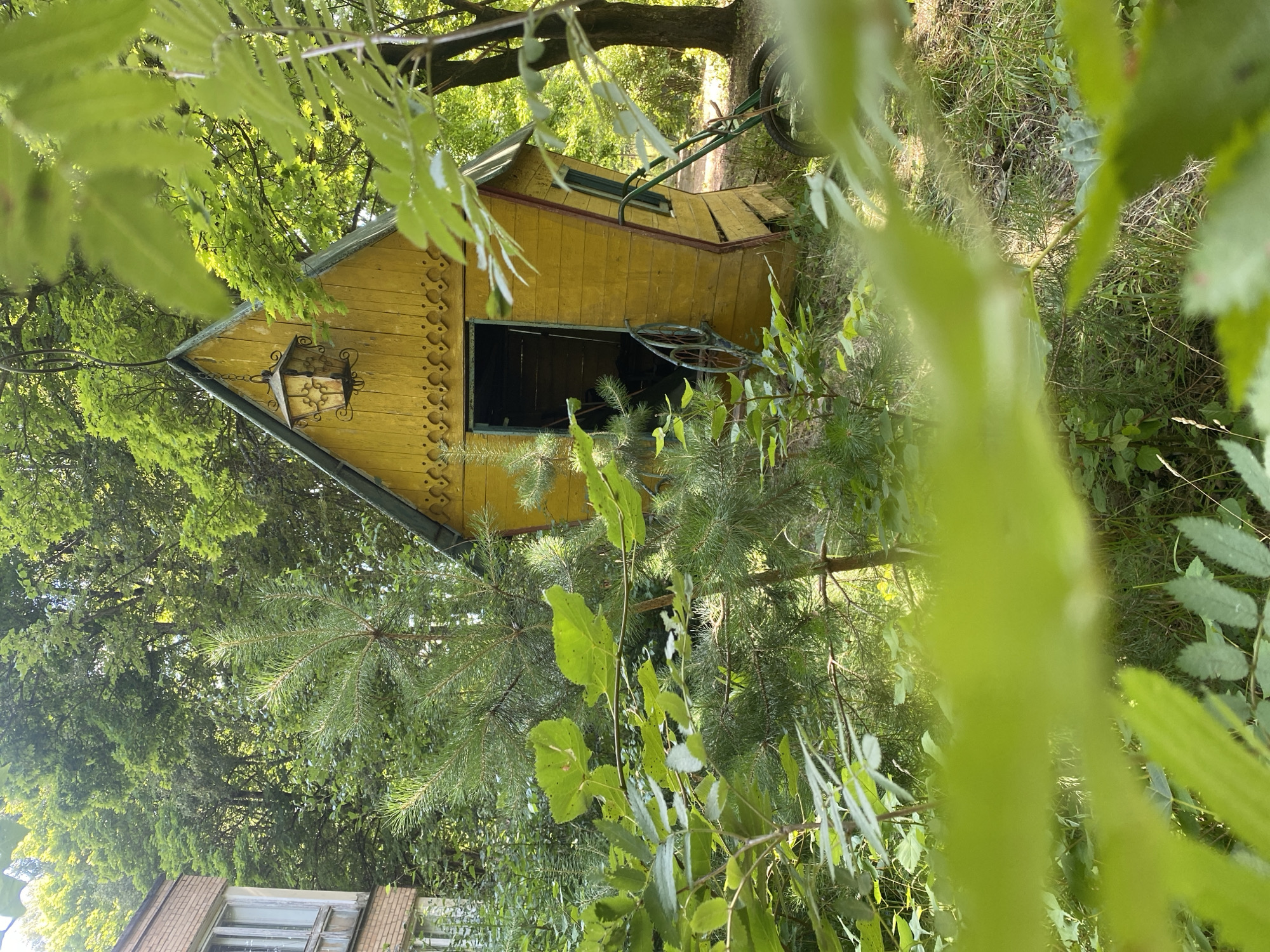 In the city of Shelkovo, Russia, a tilted, vibrant yellow, wooden structure with a pointed roof is partially obscured by lush green foliage. The structure, resembling a small house or shed, features an open doorway revealing a dark interior and a decorative, ornate lantern hanging from the apex of the roof. The facade is adorned with a patterned trim. To the left of the yellow structure, a portion of a brick building with windows is visible, suggesting an urban or suburban setting. The surrounding environment is characterized by abundant trees and vegetation, creating a natural, overgrown atmosphere. A wheeled apparatus, possibly a cart or garden equipment, is positioned near the yellow structure. The scene is bathed in dappled sunlight filtering through the leaves.