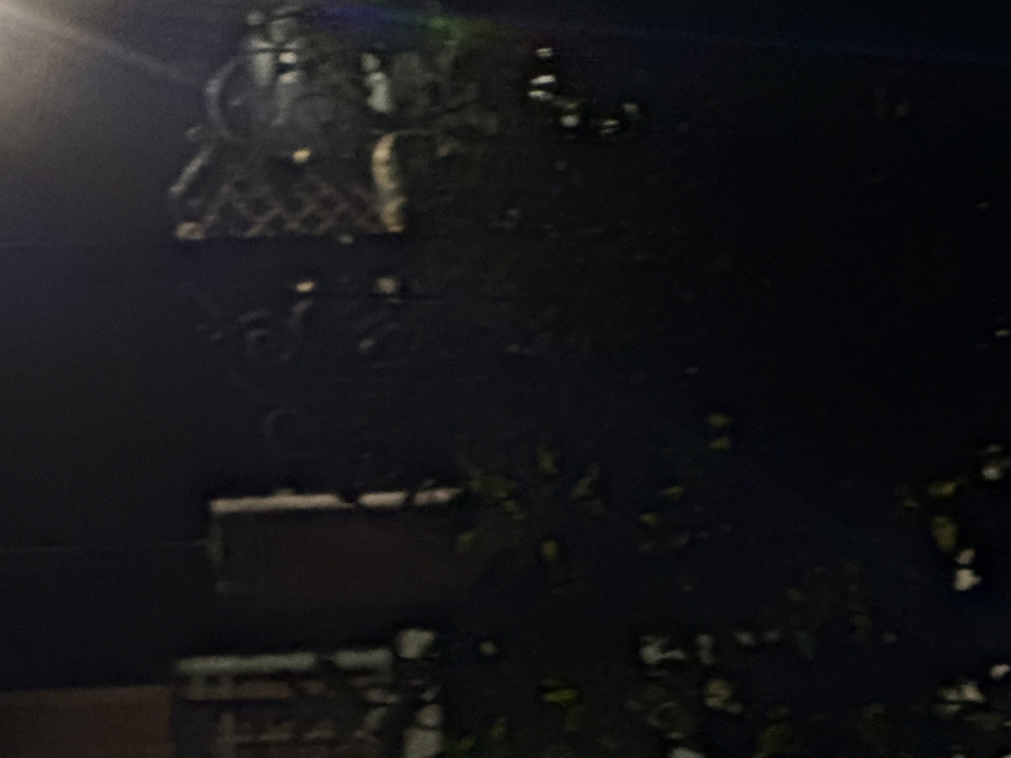 The image depicts a dark, outdoor scene, possibly at night. In the background, there are indistinct shapes that could be structures or fences, with some lighter areas suggesting illumination. The foreground is dominated by dark masses, likely foliage, with scattered lighter spots that might be leaves or small objects. The overall impression is of a dimly lit, possibly overgrown area. No specific details about Vostok, Kyrgyzstan, or identifiable individuals or actions are discernible in this highly obscured image.