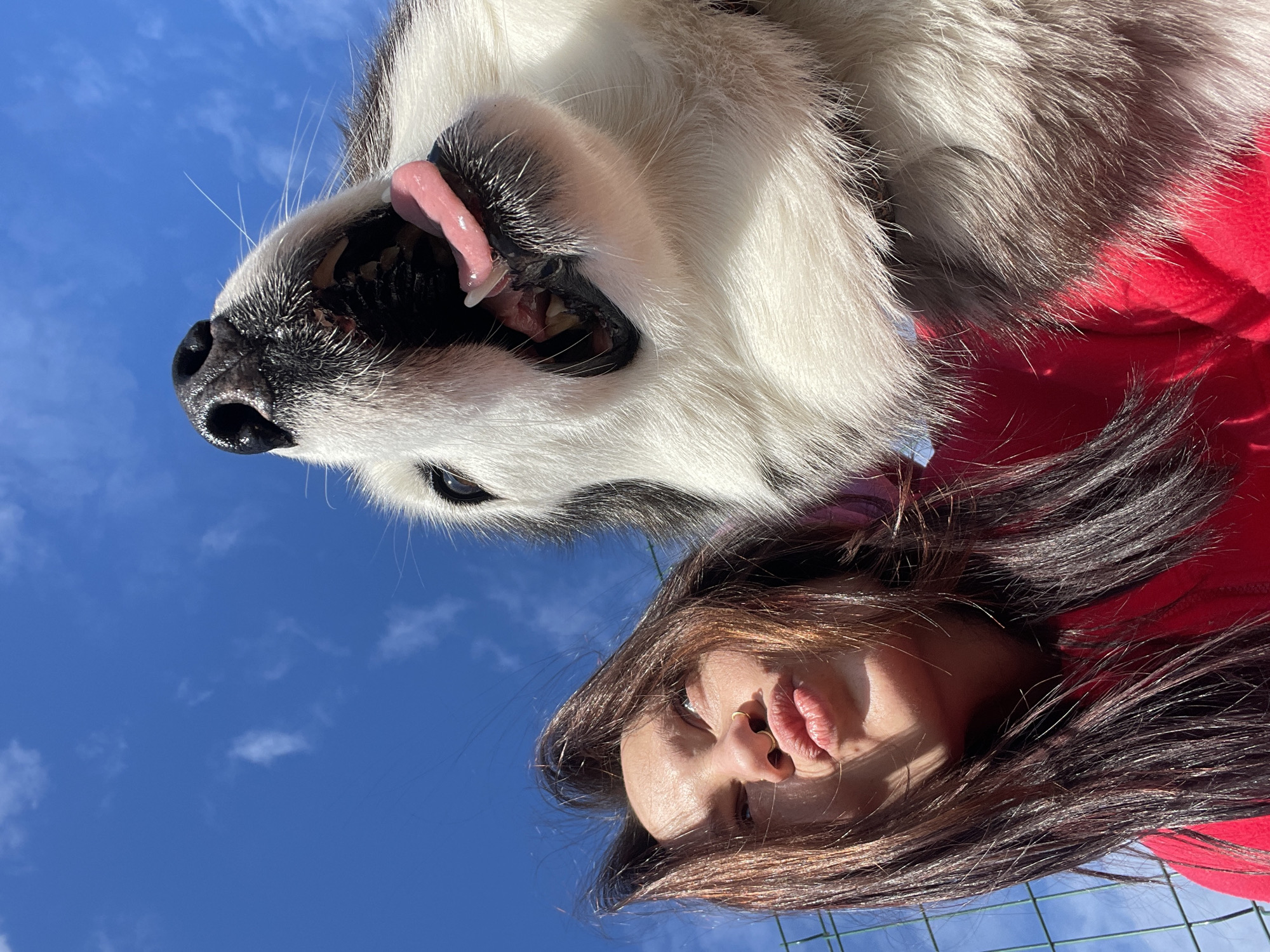 A woman and a dog are featured in an outdoor selfie. The dog, a husky with a white and gray coat, is positioned above the woman. Its mouth is open, showing its tongue. The woman, wearing a red garment, is beneath the dog. She is making a kissing face towards the camera. The sky is visible in the background. A faint wire fence is near the bottom of the picture. The location appears to be Izhevsk, Russia.