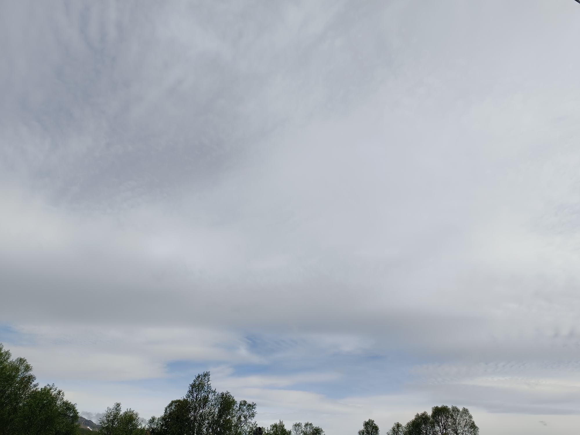 The image shows a sky filled with a large expanse of clouds. The clouds appear to be a mix of grey and white, with some thinner, wispy clouds higher up, and thicker, more solid clouds lower down. Patches of blue sky are visible between the lower clouds. Along the bottom of the image, the tops of several trees with green foliage are visible, suggesting an outdoor scene, possibly a park or a rural area. In the distance, faint outlines of mountains can be seen, some with snow caps, which is consistent with the mountainous terrain of Hovden, Norway. There are no people, animals, or man-made structures clearly visible in the frame. The overall impression is of a cloudy day in a natural landscape.