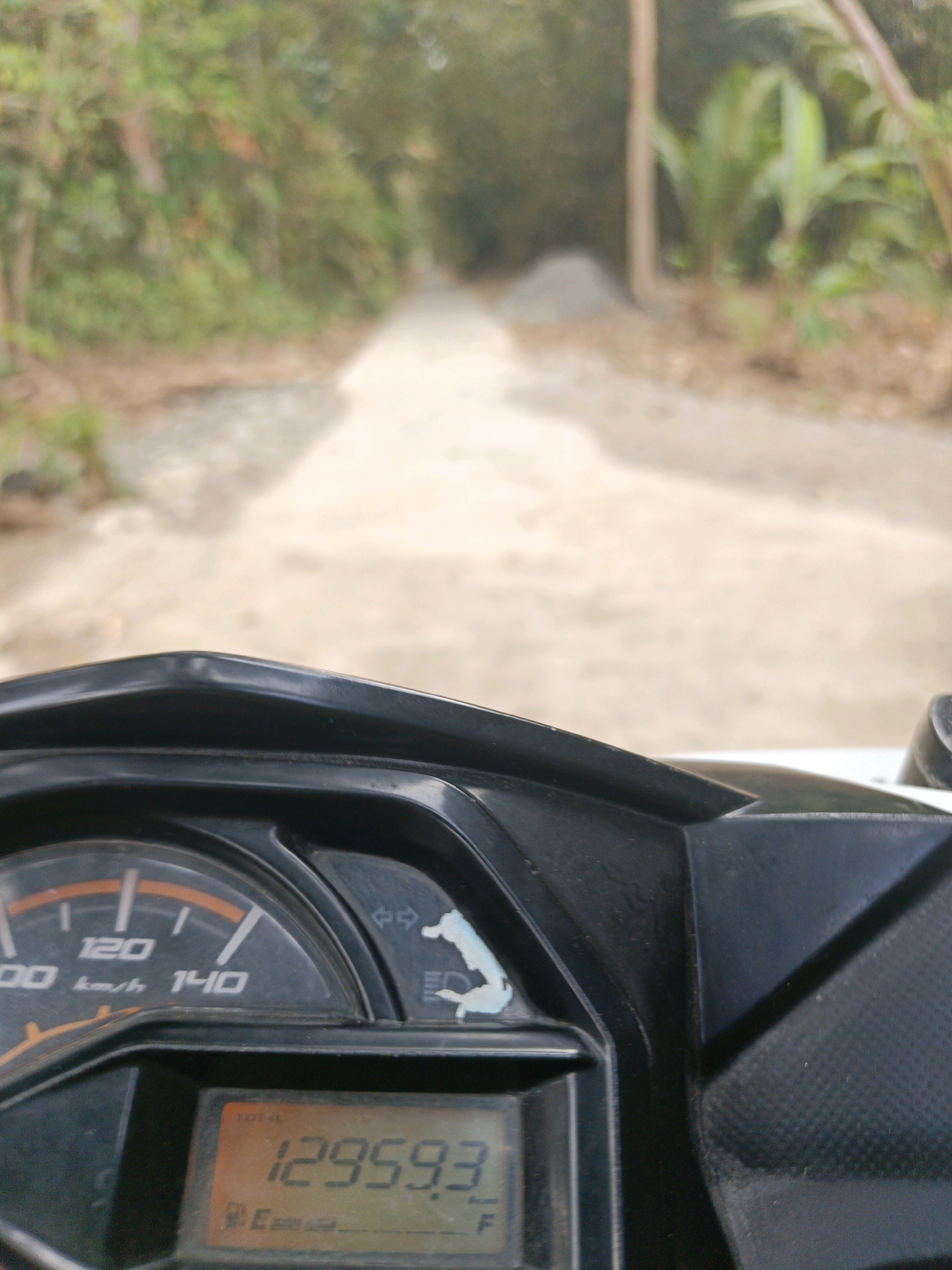 The image is a first-person perspective from a motorcycle dashboard, looking forward along a dirt road. The dashboard features a speedometer with markings up to 140 km/h, showing a current speed reading between 100 and 120 km/h. Below the speedometer is a digital display indicating "TOTAL" mileage as 12959.3, and a fuel gauge. The road ahead is unpaved and appears to be in a rural or semi-rural setting, flanked by lush green vegetation, including trees and palm-like plants. The lighting suggests it is daytime, with sunlight filtering through the foliage. The scene is consistent with a rural road in Buayan, Indonesia, likely a location frequented by motorcyclists for transportation or recreation.