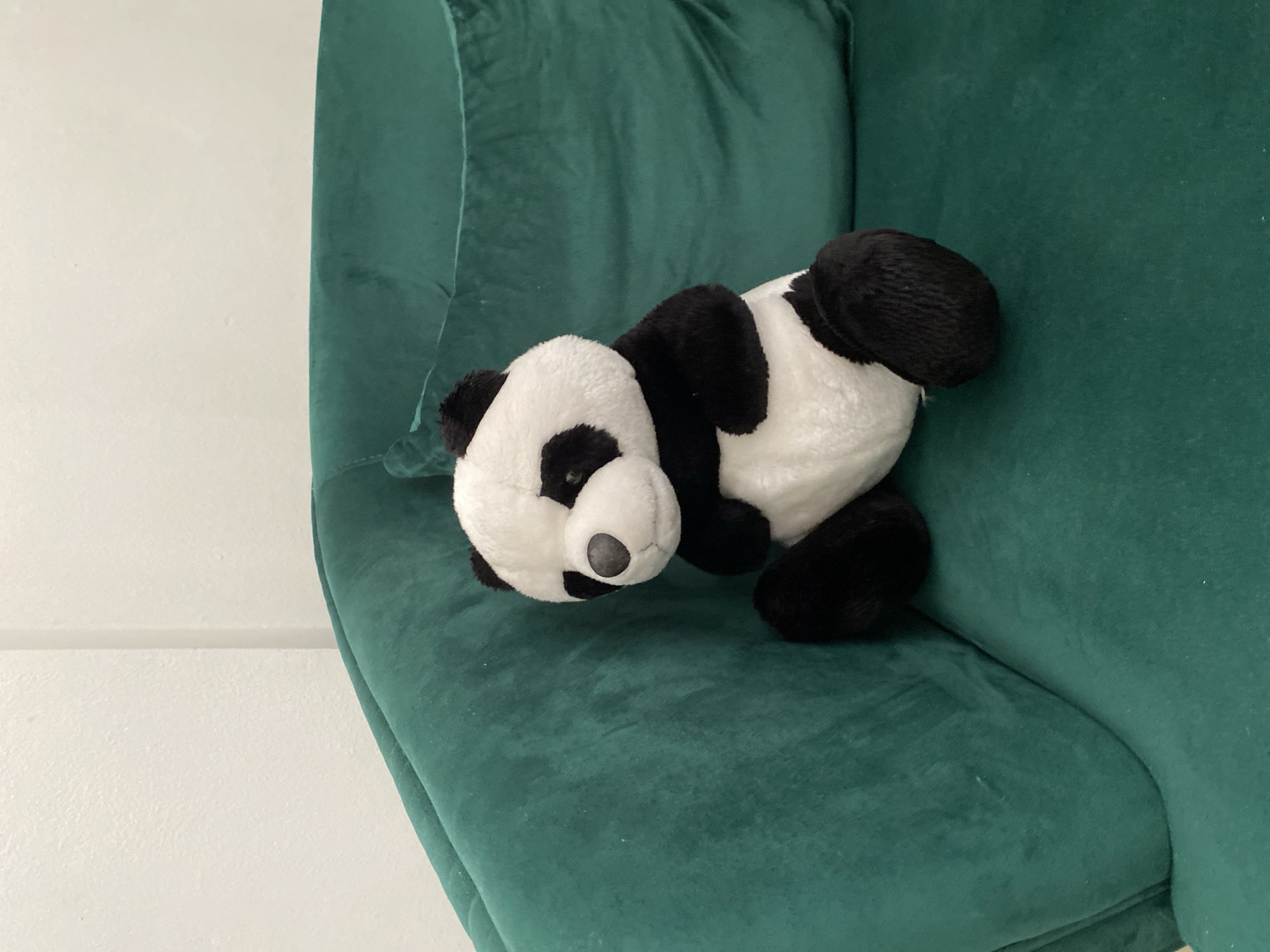 A plush panda toy is sitting on a green velvet couch. The panda is predominantly white with black markings around its eyes, ears, and limbs. It is positioned on the left side of the couch, facing towards the right. The couch has a deep green color and a textured velvet finish. The background consists of a white wall, with a vertical seam visible on the left side, suggesting it might be two wall panels. The lighting appears to be natural or from an overhead source, casting soft shadows. The scene is indoors, in what appears to be a residential setting in the city of Küçükçekmece, Turkey.