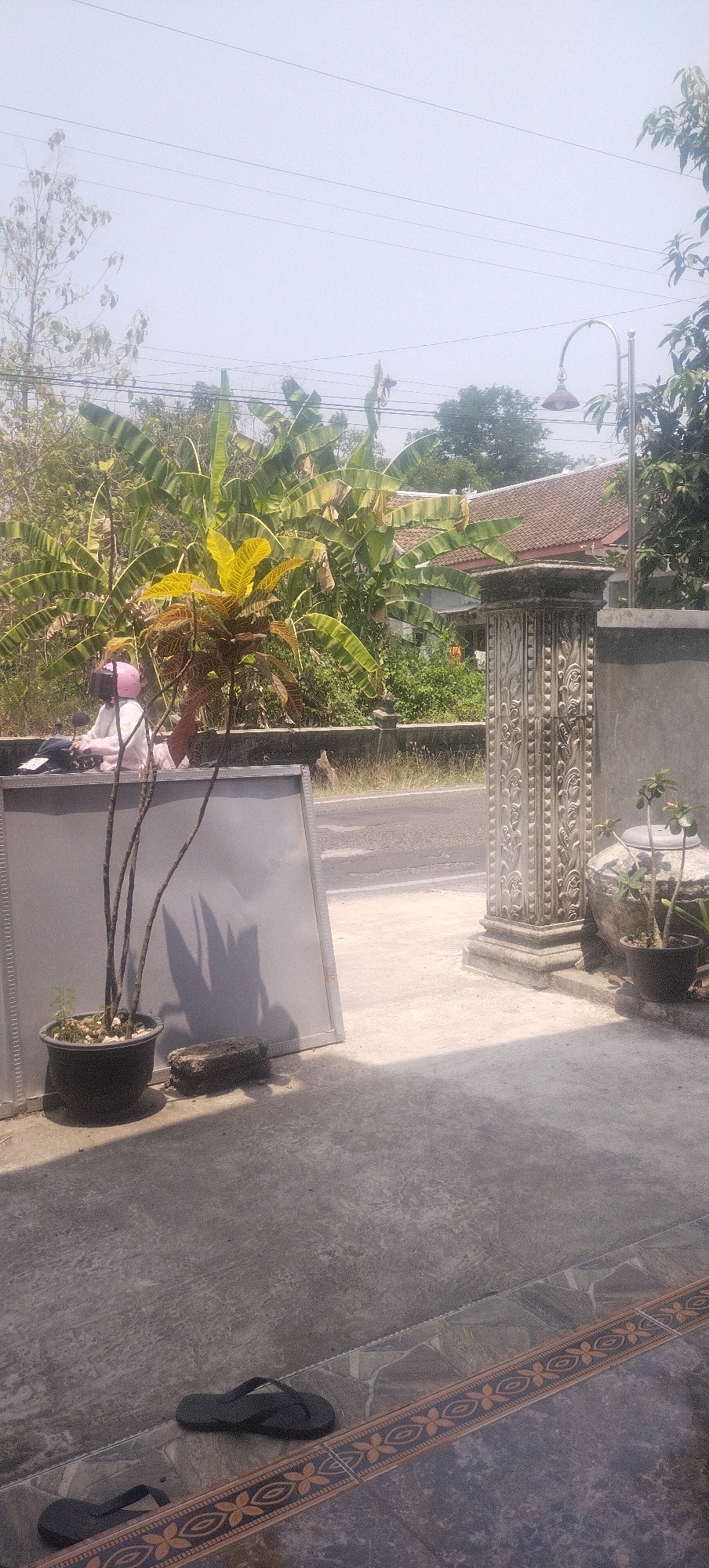 The image depicts an outdoor scene, likely in Daleman, Indonesia, showing a paved area with a wall and some vegetation. In the foreground, a black flip-flop is visible on the concrete. To the left, a potted plant with slender branches stands near a gray, rectangular object. Behind this, a person on a motorbike, wearing a pink helmet and a light-colored garment, is partially visible. In the background, there are banana trees and other foliage, a house with a tiled roof, and a street. A decorative stone pillar is situated to the right of the house. Overhead, power lines are visible against a clear sky. Another black flip-flop is visible in the lower left corner.