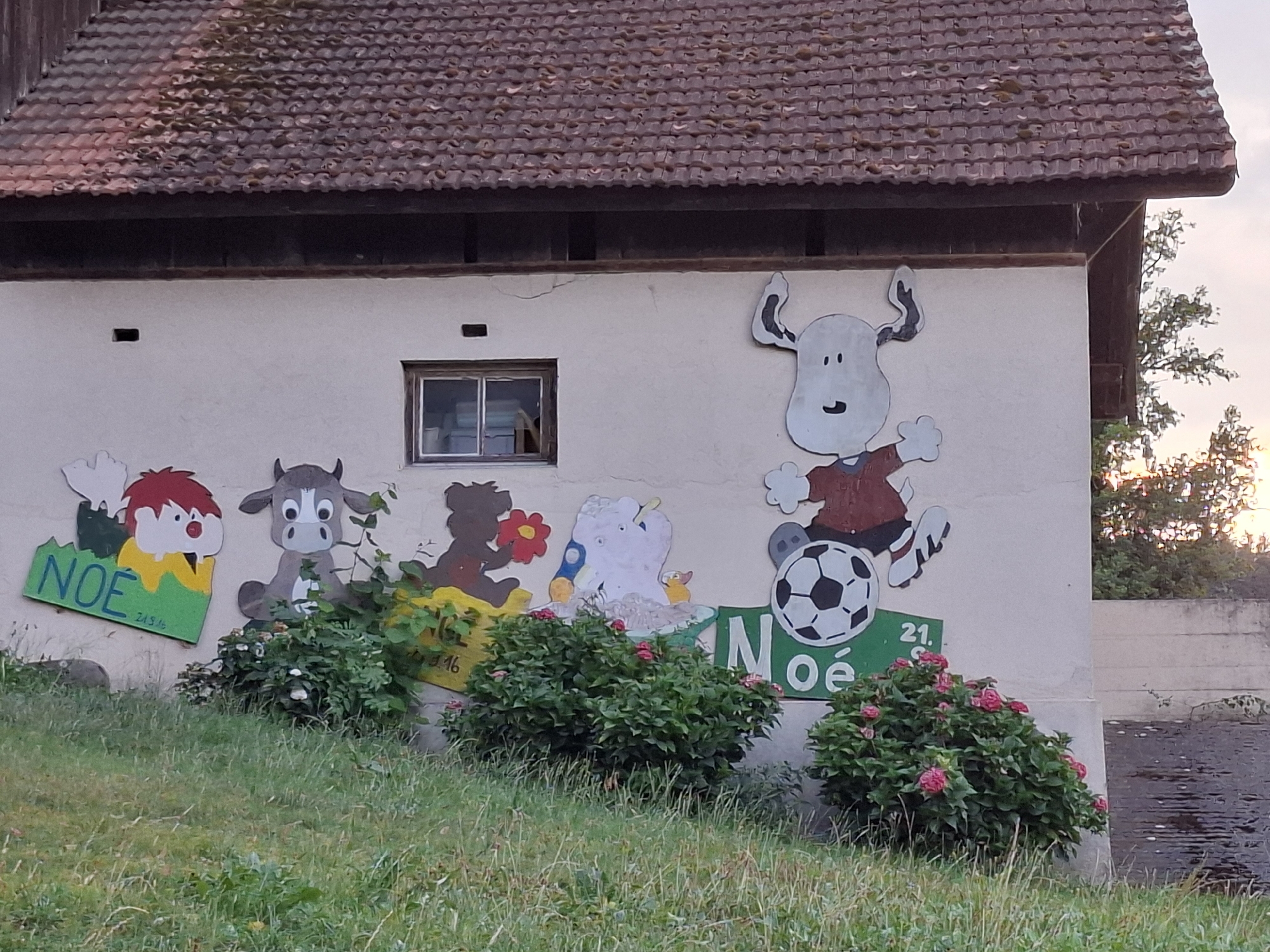 The image depicts a section of an outdoor wall of a building, likely a barn or shed, in Römerswil, Switzerland, based on the provided context. The wall is painted with a mural featuring cartoon characters. From left to right, the mural shows a figure with red hair, a cow character with large eyes, a silhouette of a bear-like figure holding a red flower, a white, blob-like character with yellow accents and a bird on its head, and a larger white character with horns, wearing a red shirt and black shorts, in the act of kicking a black and white soccer ball. The word "NOÉ" is painted in green on a sign to the left of the first figure and again on a sign below the soccer-kicking character. Some of these signs also have numbers that appear to be dates, such as "21.5.16" and "4.16". The building has a brown tiled roof. A small window is visible in the upper part of the wall. In front of the mural, there are several green bushes, some of which have pink flowers. The ground in front of the bushes is covered in grass and some scattered leaves. To the right of the mural, a concrete wall and a dark, wet surface, possibly asphalt, are visible. The lighting suggests it is late afternoon or early evening, with a warm glow in the sky behind the trees on the right.