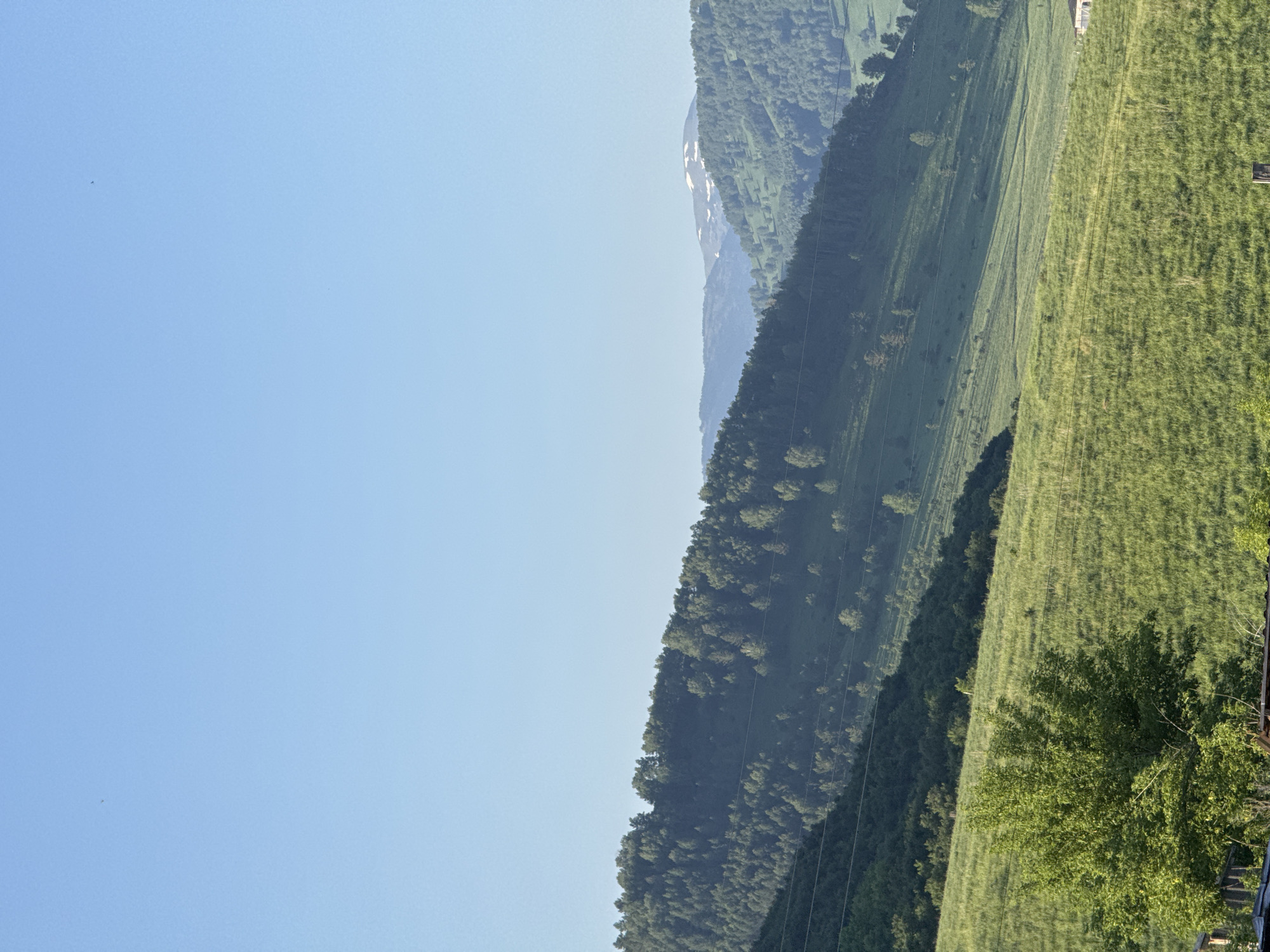 The image depicts a serene, sunlit landscape in Soloneshnoye, Russia. In the foreground, a lush green meadow stretches across the frame, dotted with the shadows of what appear to be power lines running horizontally. A large, vibrant green tree stands prominently on the left side of the meadow. Further into the distance, rolling hills covered in dense evergreen trees rise, their slopes illuminated by the sun. Beyond these forested hills, a distant mountain range is visible, with a peak capped by snow. The sky above is a clear, bright blue. There are no people or animals visible in the scene.