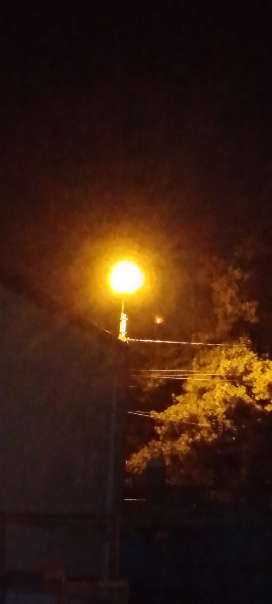 A vertical, nighttime photograph captures a street lamp casting a bright yellow glow against a dark sky, illuminating a wall on the left and foliage on the right. The street lamp, mounted on a pole, is centrally located in the upper half of the frame, its light creating a halo effect. The wall appears to be made of concrete or stone, with some texture visible under the light. Beyond the wall and to the right of the lamp, a dense collection of trees with bright yellow leaves is visible, suggesting autumn. Several thin wires stretch horizontally across the mid-section of the image, possibly power lines, crossing in front of the illuminated foliage. A faint, circular light object, possibly a distant light source or celestial body, is discernible in the sky just to the right of the street lamp. The lower portion of the image is predominantly dark, with some indistinct structures suggesting the presence of buildings or urban infrastructure. The overall scene conveys a sense of an urban environment at night, illuminated by artificial light. The location in Belgorod, Russia, is not explicitly indicated by any visible landmarks or identifying features within the image itself.