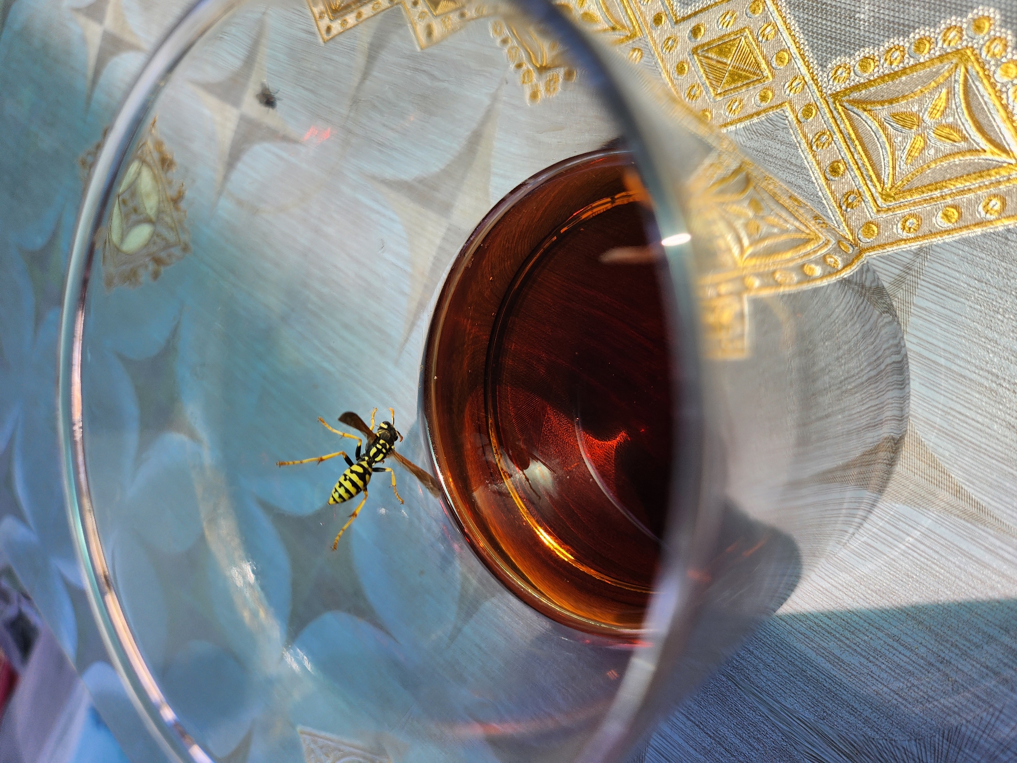 A wasp with black and yellow stripes is perched on the rim of a clear glass, which contains a dark amber liquid. The glass is positioned on a table covered with a light blue tablecloth featuring a patterned design. The tablecloth also has a gold embroidered border. The scene is illuminated by natural light, casting shadows and creating reflections on the glass and liquid. The background is blurred, but appears to be an outdoor setting. The location is specified as Yangikurgan, Uzbekistan.