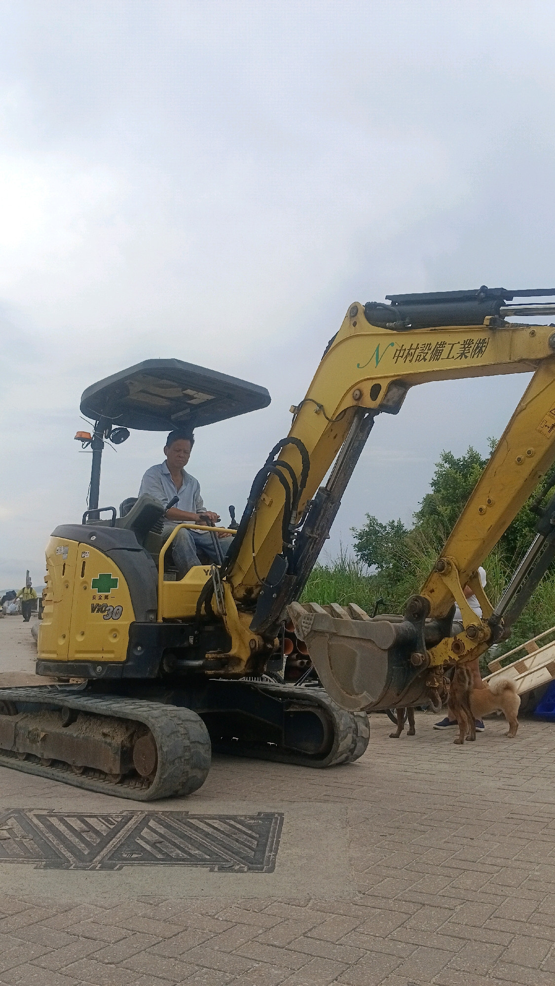 A man is operating a yellow mini-excavator. The excavator has the markings "YANMAR" and "V10-30". There is Japanese text on the boom, which translates to "Nakamura Equipment Industry Co., Ltd.". Two dogs are standing near the front of the excavator. The ground is paved with interlocking bricks. In the background, there are some trees and a body of water. The sky is overcast. This image appears to be taken in Hong Kong, China.