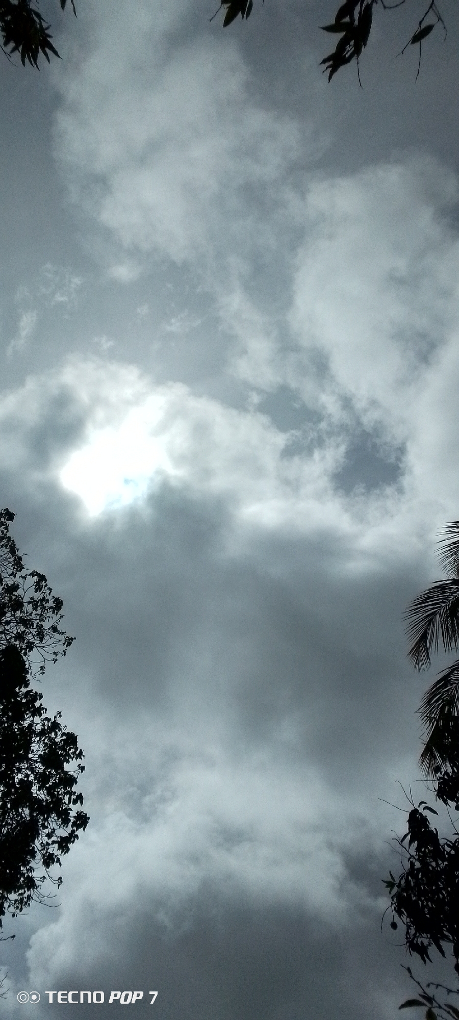 The image presents an upward view of a heavily overcast sky, dominated by dense, grey clouds. A bright, diffused light source, presumably the sun, pierces through a clearing in the clouds towards the upper-middle left, creating a stark white, luminous area amidst the darker cloud cover.
Silhouettes of various tree branches and foliage frame the sky, appearing in the top left, top right, bottom left, and bottom right corners. The top sections show sparse, dark leaves, while the bottom left features a larger, dark mass of leafy branches. The bottom right displays distinct palm-like fronds, characteristic of a tropical or subtropical environment, aligning with the provided location context of Altagracia, Venezuela.
No human subjects or specific activities are visible; the scene is a static depiction of the sky and natural flora. The weather appears cloudy and potentially humid, with the sun attempting to break through, suggesting a daytime shot despite the subdued light. The dense clouds create a sense of vastness and a somewhat dramatic atmosphere.
In the bottom left corner, white text with a camera icon clearly displays "TECNO POP 7," indicating the device used to capture the photograph. The composition highlights the expansive cloudscape and the natural framing provided by the dark, silhouetted foliage.
