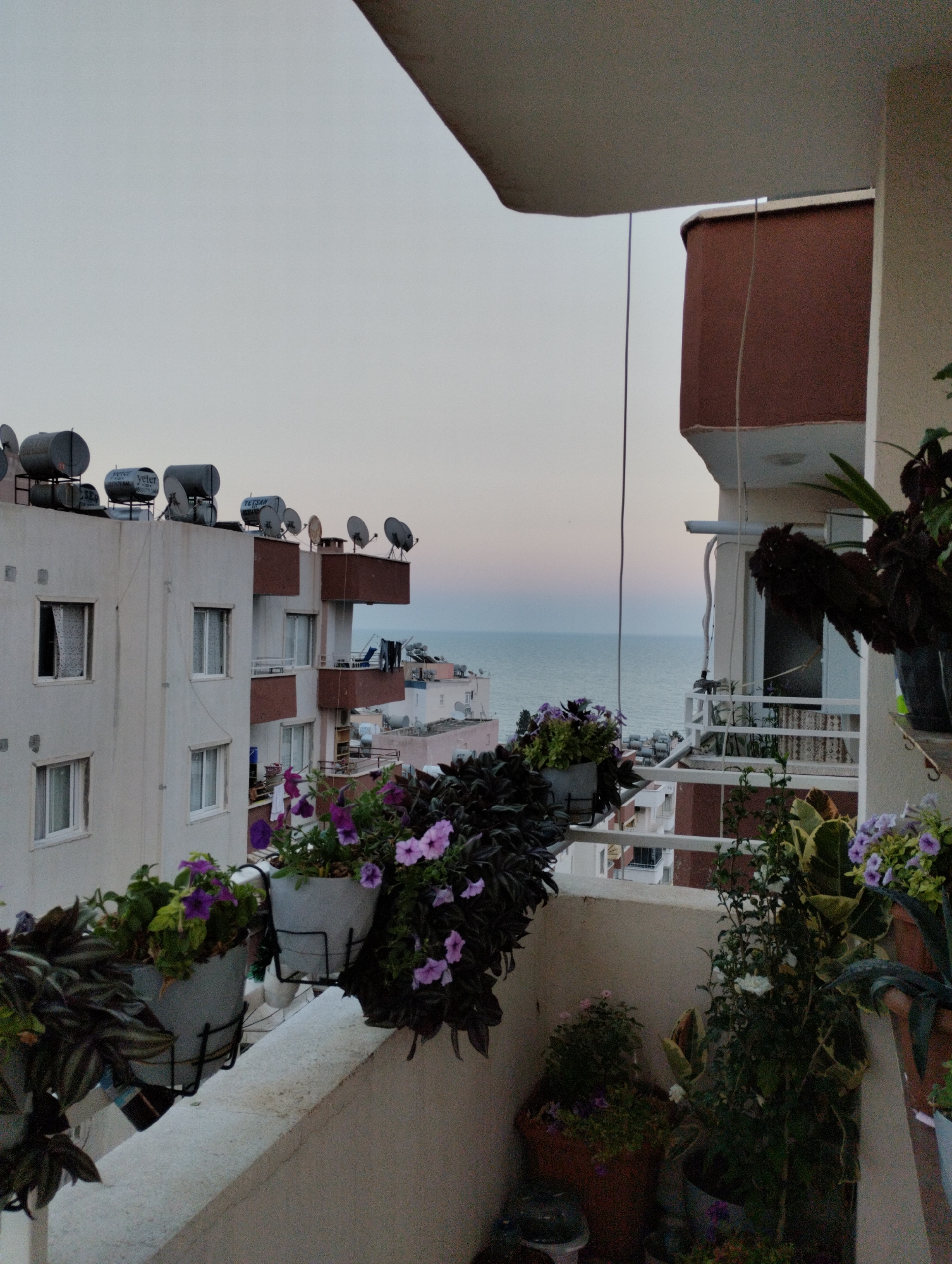 The image depicts a balcony in Mezitli, Turkey, overlooking a city skyline and the sea at dusk. The balcony railing is white, and several potted plants with purple and green foliage are visible. In the foreground, a white railing is prominent. Behind the railing, there are buildings with white and red facades, solar water heaters and satellite dishes on the roofs. The sea is visible in the distance, with a soft pastel sky above it. A clothesline with laundry can be seen on a balcony of a building across the way. The overall scene is peaceful and suggests a residential area by the coast.