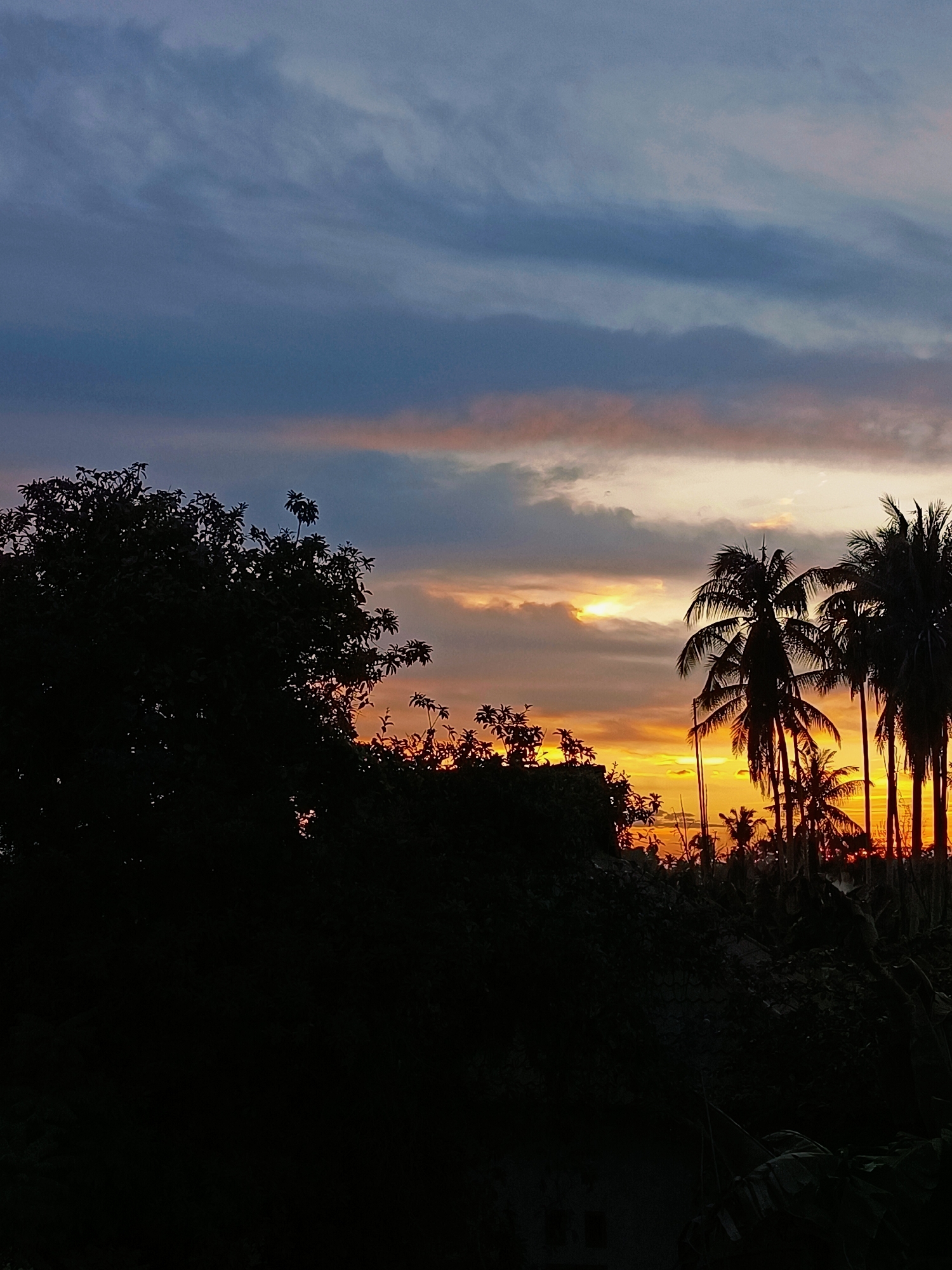 This is a silhouette photograph of a sunset over the city of Blang Cut, Indonesia. The sky is filled with streaks of orange, yellow, and gray clouds, illuminated by the setting sun. In the foreground, the dark silhouettes of palm trees and lush vegetation create a dramatic contrast against the vibrant sky. The overall impression is one of a tropical landscape at dusk.