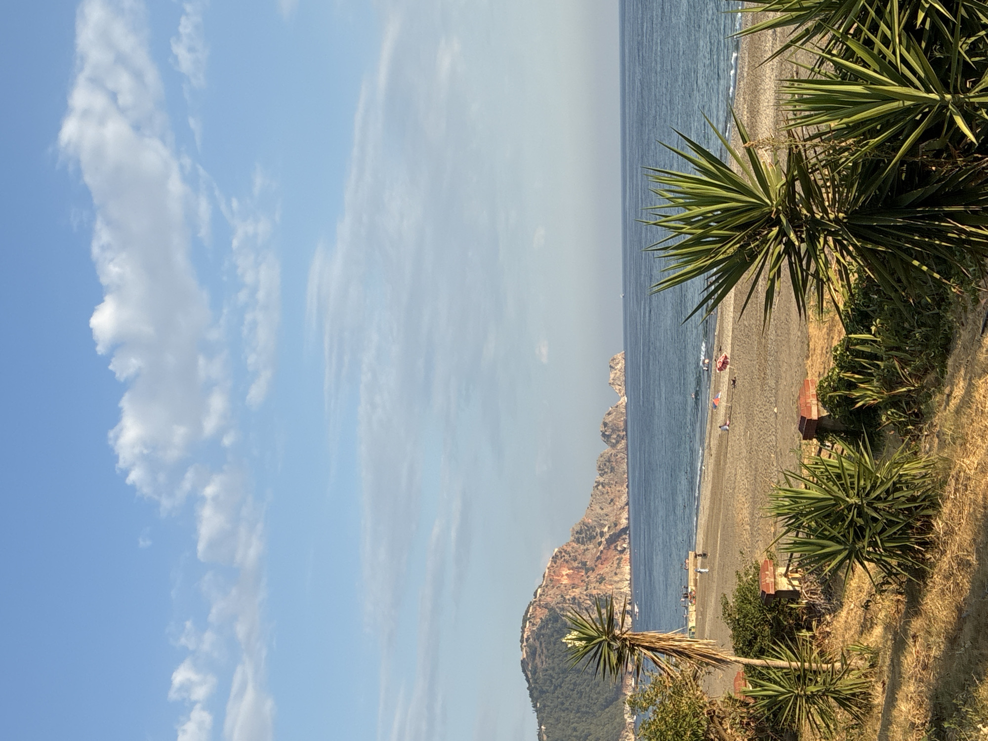 The image depicts a scenic view of a beach in Alanya, Turkey, with a focus on the coastline and the Mediterranean Sea. In the foreground, several yucca plants with sharp, pointed leaves are visible, set against dry, grassy terrain. A brick wall with posts runs horizontally across the middle ground. Beyond the vegetation, a sandy beach stretches along the coastline, dotted with a few sunbathers and umbrellas. The sea is a deep blue, with gentle waves lapping the shore. In the background, a prominent rocky mountain juts out into the sea, its slopes covered with lush green vegetation. The sky is a clear blue, with scattered white clouds, suggesting a bright, sunny day. The overall impression is one of a tranquil coastal landscape.