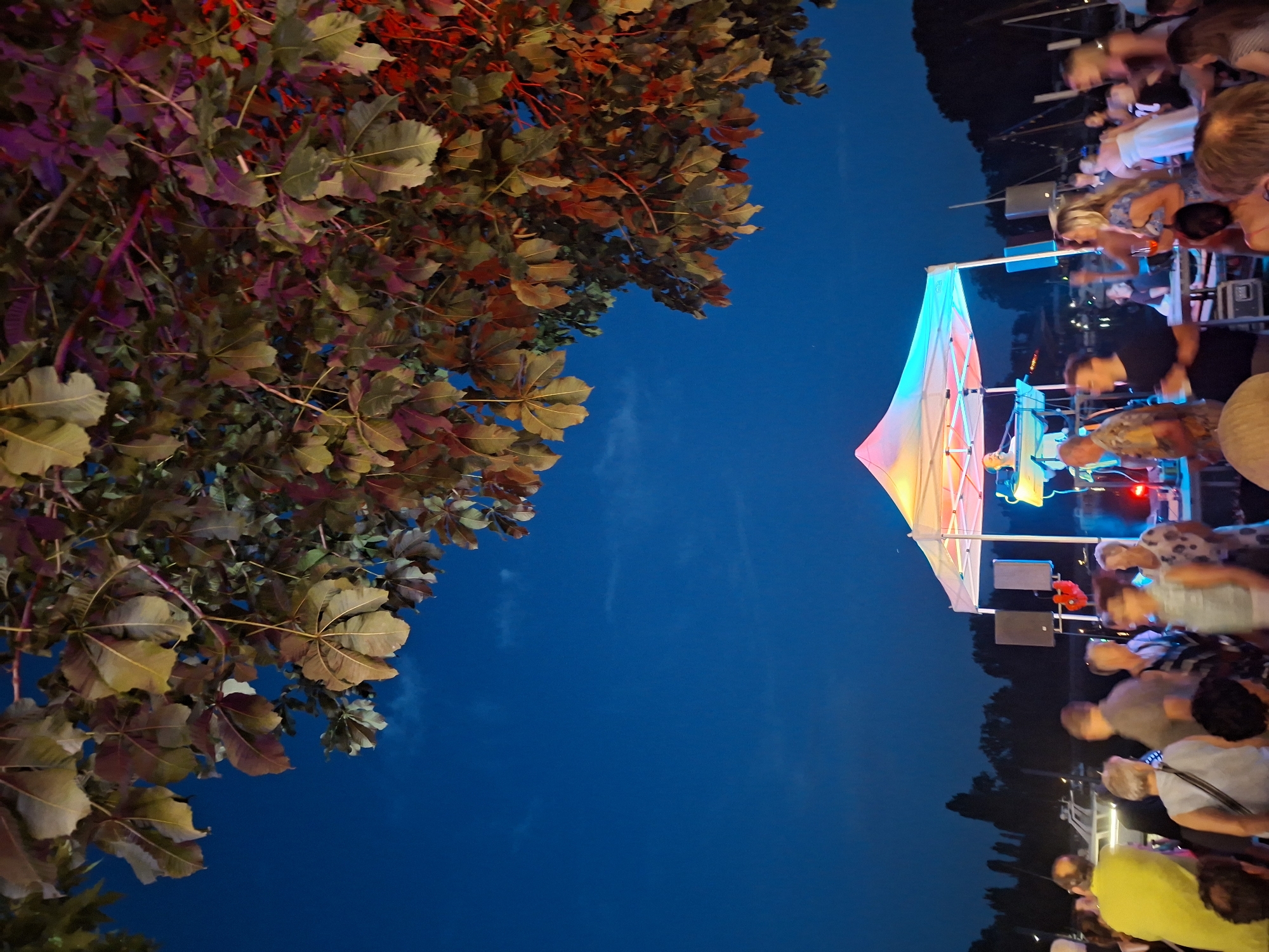 This is a photograph taken at night in Wiesbaden, Germany, likely during an outdoor event or festival. The image is dominated by a large tree with dark, reddish-brown leaves in the upper portion, illuminated by colorful stage lights from below. Beneath the tree, a white canopy tent is set up, serving as a stage. A person is visible behind a keyboard or DJ setup, appearing to perform. Several people are gathered in front of and around the stage, some appearing to dance or socialize. In the background, silhouettes of trees and boats suggest a waterfront location, possibly a marina. The sky is a deep blue, indicating late evening or night. The lighting creates a vibrant and festive atmosphere, with the stage lights casting colorful glows on the tent and the surrounding area.