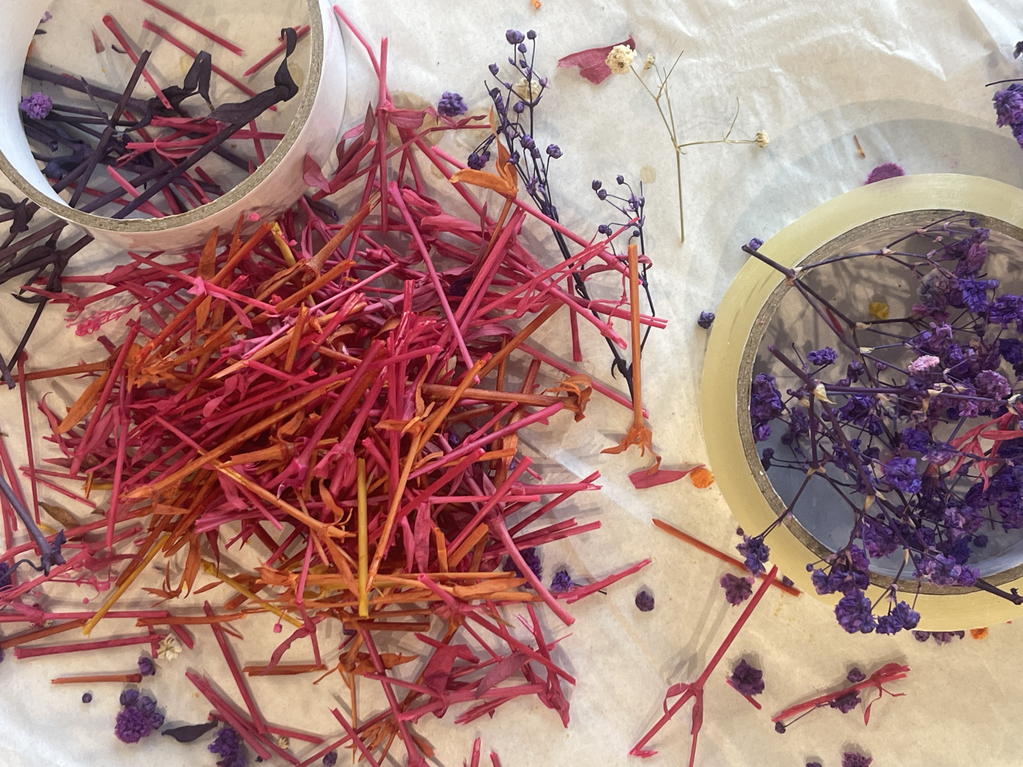 The image depicts a close-up, top-down view of dried, colorful plant materials scattered on a textured white surface, possibly parchment paper. The materials are predominantly shades of pink, red, and orange, appearing as thin, delicate stems and possibly dried flowers. Two rolls of clear tape are partially visible, one on the upper right and another on the lower left, both with some plant material stuck to them. One roll of tape contains a collection of dark purple and red plant material inside. Small clusters of dried purple flowers are also scattered throughout the scene. The lighting suggests an indoor environment with soft, diffused light. There are no people or animals visible in the image, and no specific landmarks or context to suggest a location in Karlovo, Bulgaria.