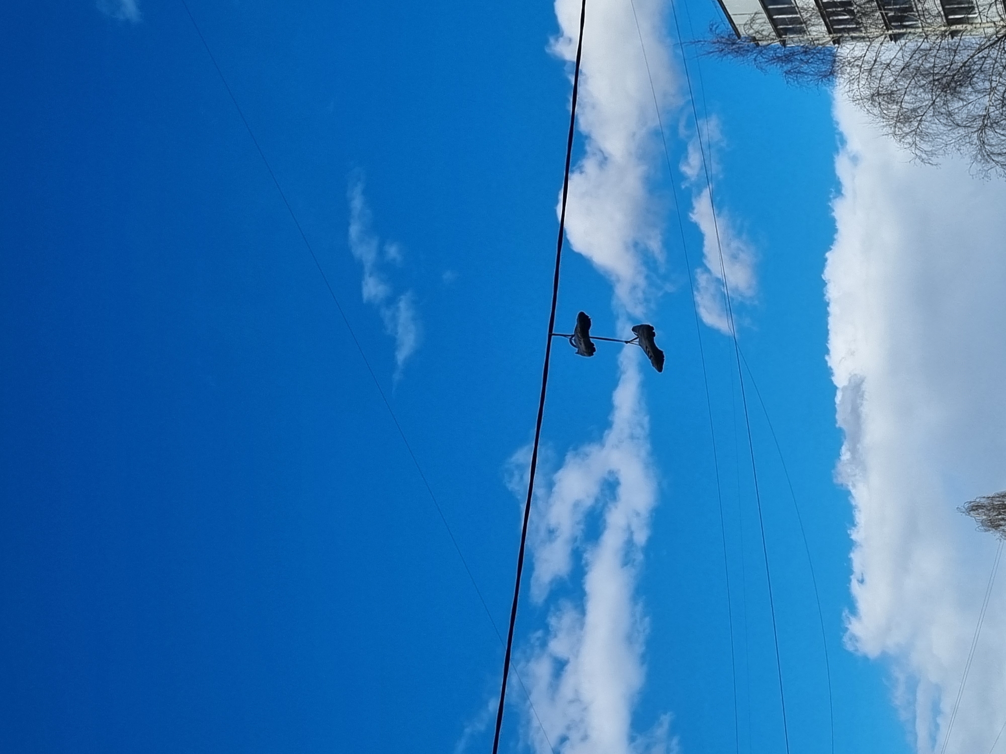 The image captures a bright blue sky filled with scattered white cumulus clouds, suggesting a clear and sunny day. The perspective is looking upwards, and the image appears to be rotated 90 degrees clockwise, as if taken by someone looking straight up.
Dominating the mid-ground are two dark-colored shoes, likely sneakers, hanging by their laces from a single, thick overhead wire. The shoes are suspended roughly equidistant from each other and appear to be tied securely to the wire. Several other thinner wires run across the frame, both parallel and intersecting the main wire from which the shoes hang.
In the upper right portion of the image (when oriented correctly), part of a multi-story building with visible windows or structural elements can be seen, partially obscured by the bare branches of a tree. Another bare tree is visible in the lower right corner, its delicate branches silhouetted against the sky. The presence of bare trees suggests the season is likely late autumn, winter, or early spring.
The scene depicts an urban or suburban environment in Chaikovsky, Russia, characterized by overhead utility lines and architectural structures. There is no visible text in the image. The overall impression is one of a common street scene, with the unusual detail of shoes thrown over a wire.