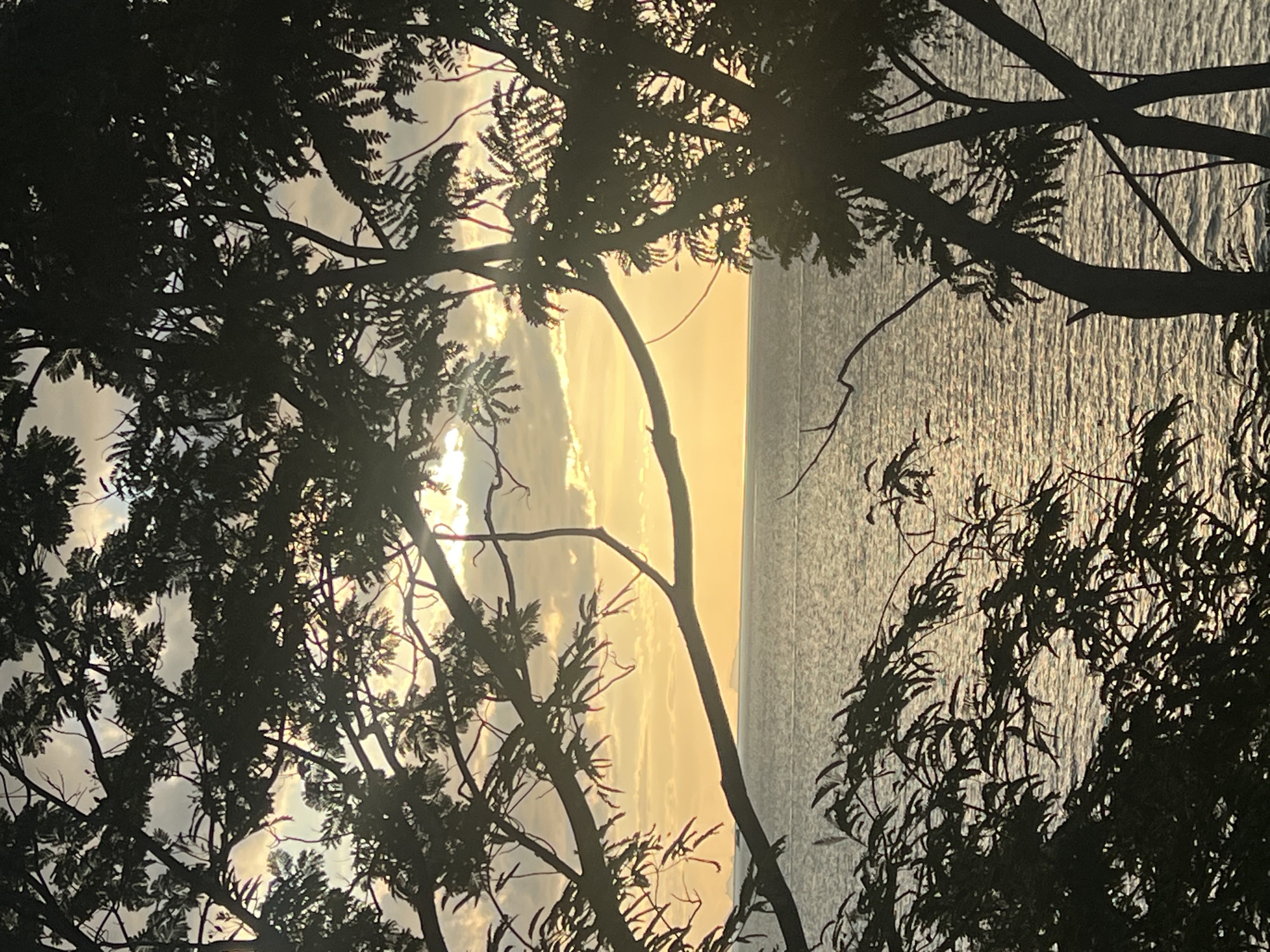 The image depicts a serene natural scene framed by the silhouettes of trees. The foreground is dominated by the dark, intricate branches and leaves of several trees, creating a natural border that obscures parts of the background. Through this leafy frame, a body of water is visible, reflecting the warm, golden light of either sunrise or sunset. The water appears rippled, suggesting a gentle breeze or movement on its surface.
Beyond the water, a vast sky is filled with soft, luminous clouds. The sun, or its rays, are the source of the intense golden glow that illuminates the clouds and casts a warm hue across the scene. The lighting suggests it is either early morning or late evening, a time often associated with peacefulness and natural beauty.
The overall mood of the image is tranquil and contemplative. The silhouetted trees add a sense of depth and enclosure, drawing the viewer's eye towards the luminous horizon. There are no visible people or distinct objects, emphasizing the natural elements of the landscape. The location context of Baan Plai Laem, Thailand, implies a tropical or subtropical setting, which aligns with the lush foliage of the trees. The image evokes a sense of calm and appreciation for the beauty of nature at a specific, magical time of day.