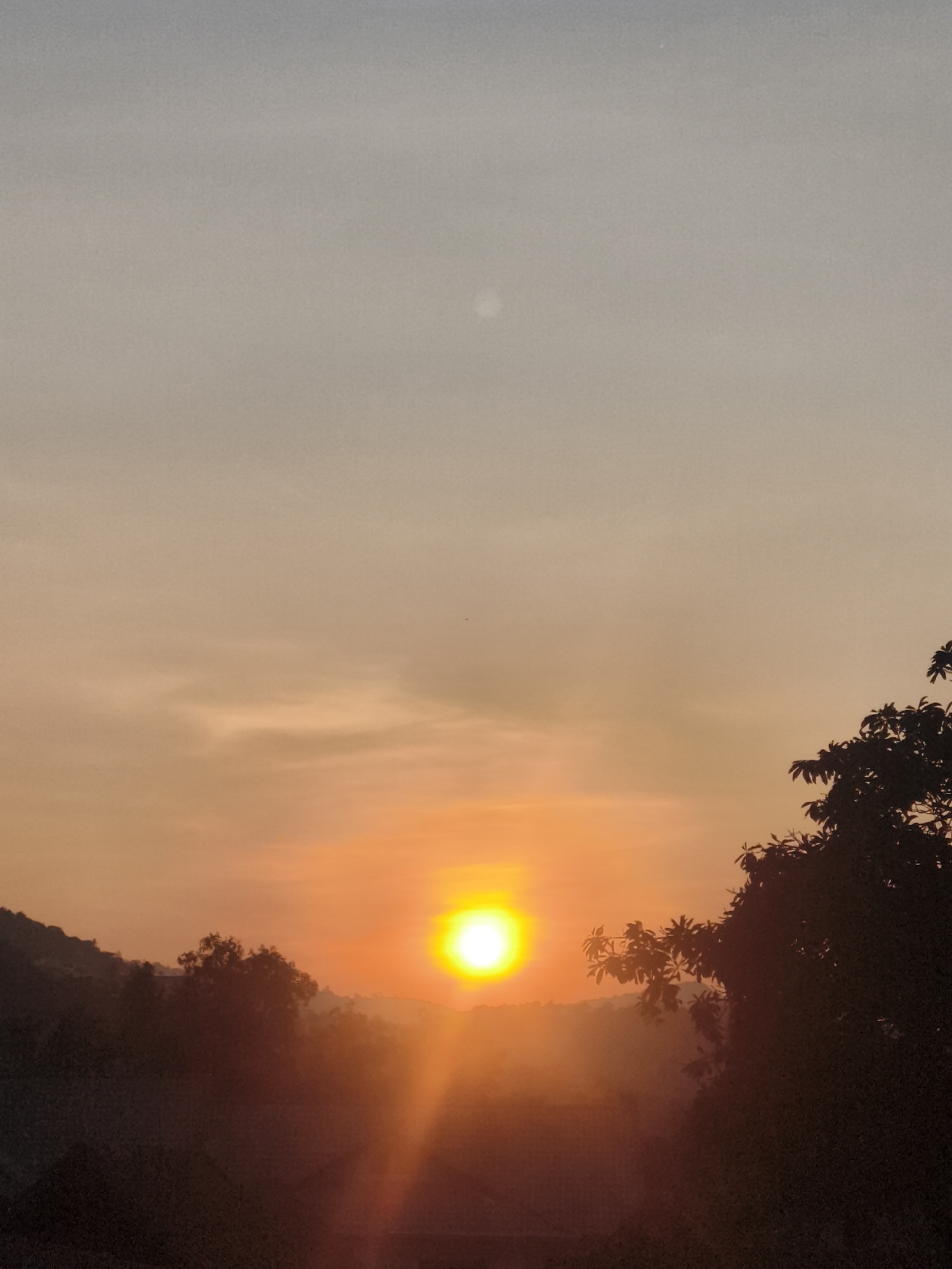 The image shows a sunrise or sunset in a landscape with trees. A bright sun dominates the center of the horizon. The sky fades from orange near the sun to a lighter gray at the top. Trees are silhouetted in the foreground and middle ground. The location appears to be บ้านบางรักษ์, Thailand. No people are visible. The interaction is sunlight filtering through the atmosphere and landscape.