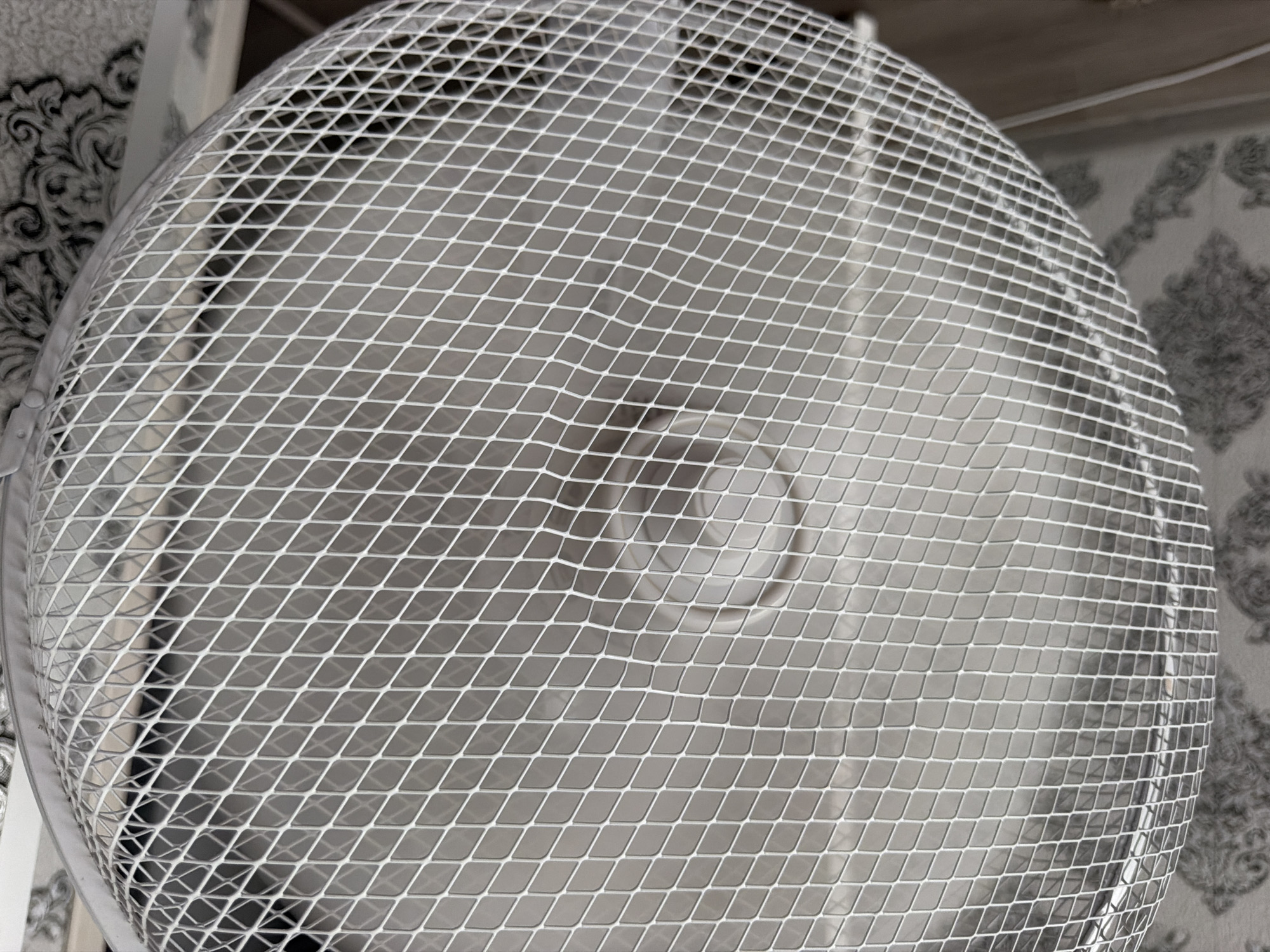 A close-up shot of a white oscillating fan shows its diamond-patterned safety grille. The grille is white and metallic, with a mesh design. In the background, a floral patterned wallpaper is visible, suggesting the fan is indoors, possibly in a residential setting in Strășeni, Moldova. The fan blades are slightly blurred, indicating that the fan is in operation. The overall scene is domestic and casual.