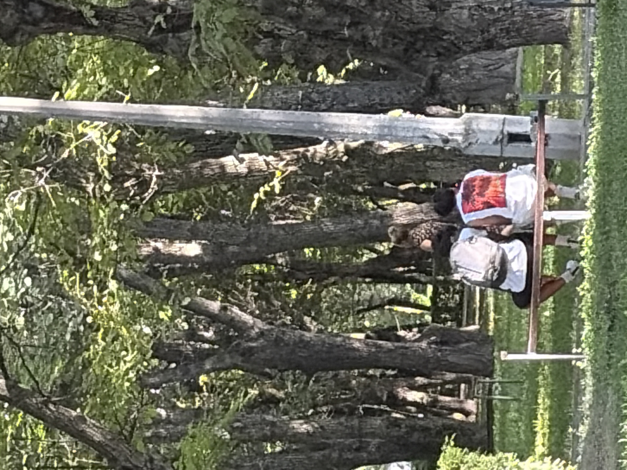 Two individuals are seated on a park bench, facing away from the camera, amidst a grove of trees. The person on the left wears a white t-shirt and a grey backpack. The person on the right wears a white t-shirt with a red graphic design on the back. The bench is made of wood and metal. A tall, grey concrete pole stands to the right of the bench, partially obscured by trees. The ground is covered in green grass, with fallen leaves scattered around. The trees are tall with thick trunks and dense green foliage. Sunlight filters through the leaves, creating dappled light on the ground. The overall scene depicts a peaceful outdoor setting in a park. The location is identified as Unknown, Unknown.