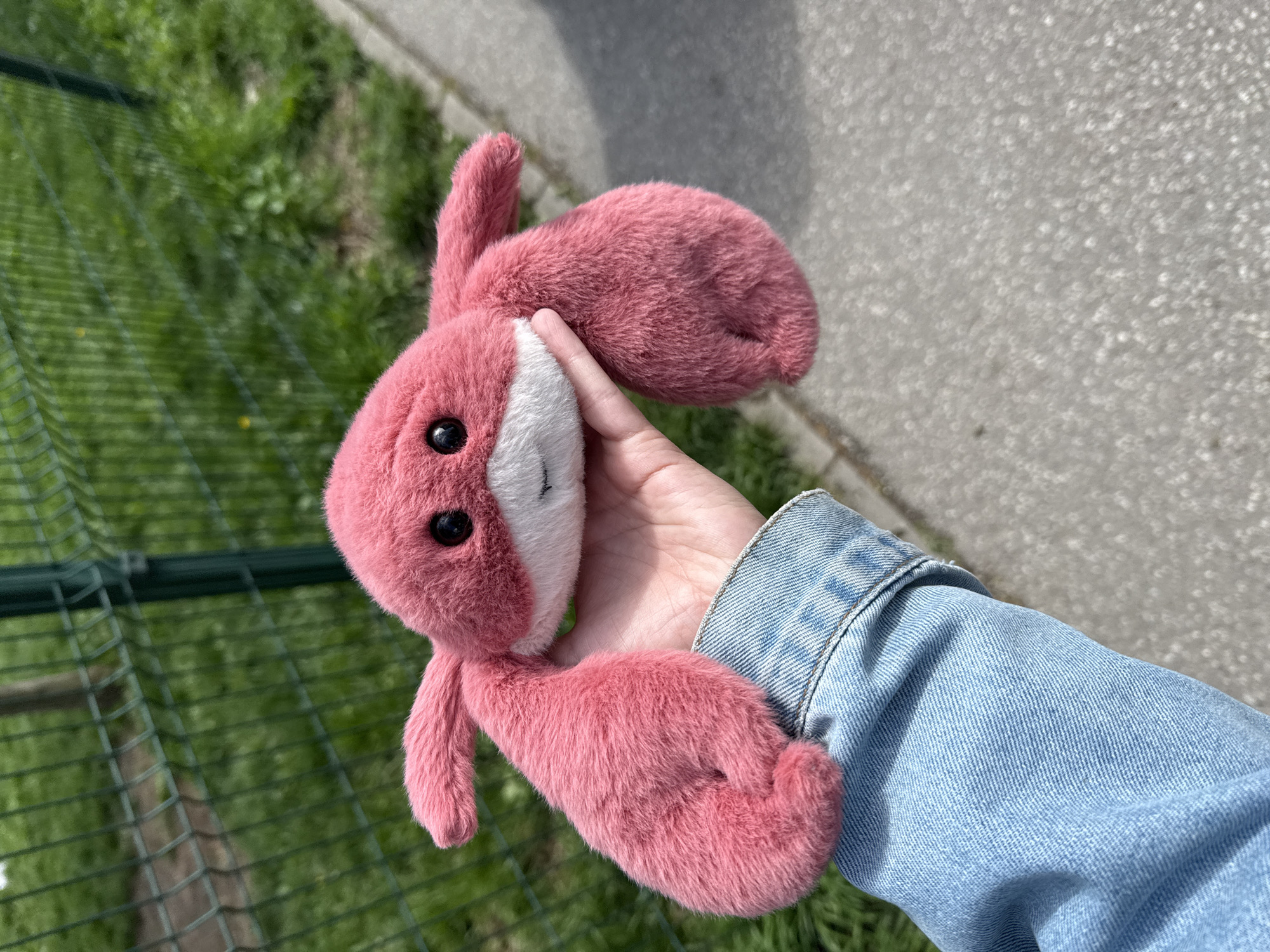 A fair-skinned hand, likely belonging to a person wearing a light blue denim jacket, holds a small, pink, fluffy plush toy in an outdoor setting. The toy appears to be a rabbit or a similar animal, characterized by its soft, textured pink fur, white facial area, and two small, dark, bead-like eyes. Its body is plump, and it has distinct ears and short limbs.
The photograph is taken on a bright, sunny day, indicated by the clear, even lighting. The background consists of two main elements. To the left, a green wire fence is visible, behind which lush green grass and some patches of earth can be seen, suggesting a park, garden, or an animal enclosure. To the right, a light grey paved surface, resembling a sidewalk or pathway, stretches into the background.
The activity depicted is simply the holding or presenting of the toy. No specific emotions are discernible from the visible hand, but the object itself conveys a sense of cuteness and playfulness. There is no visible text in the image. The scene offers an everyday glimpse into an outdoor environment, situated in the City of Zagreb, Croatia.