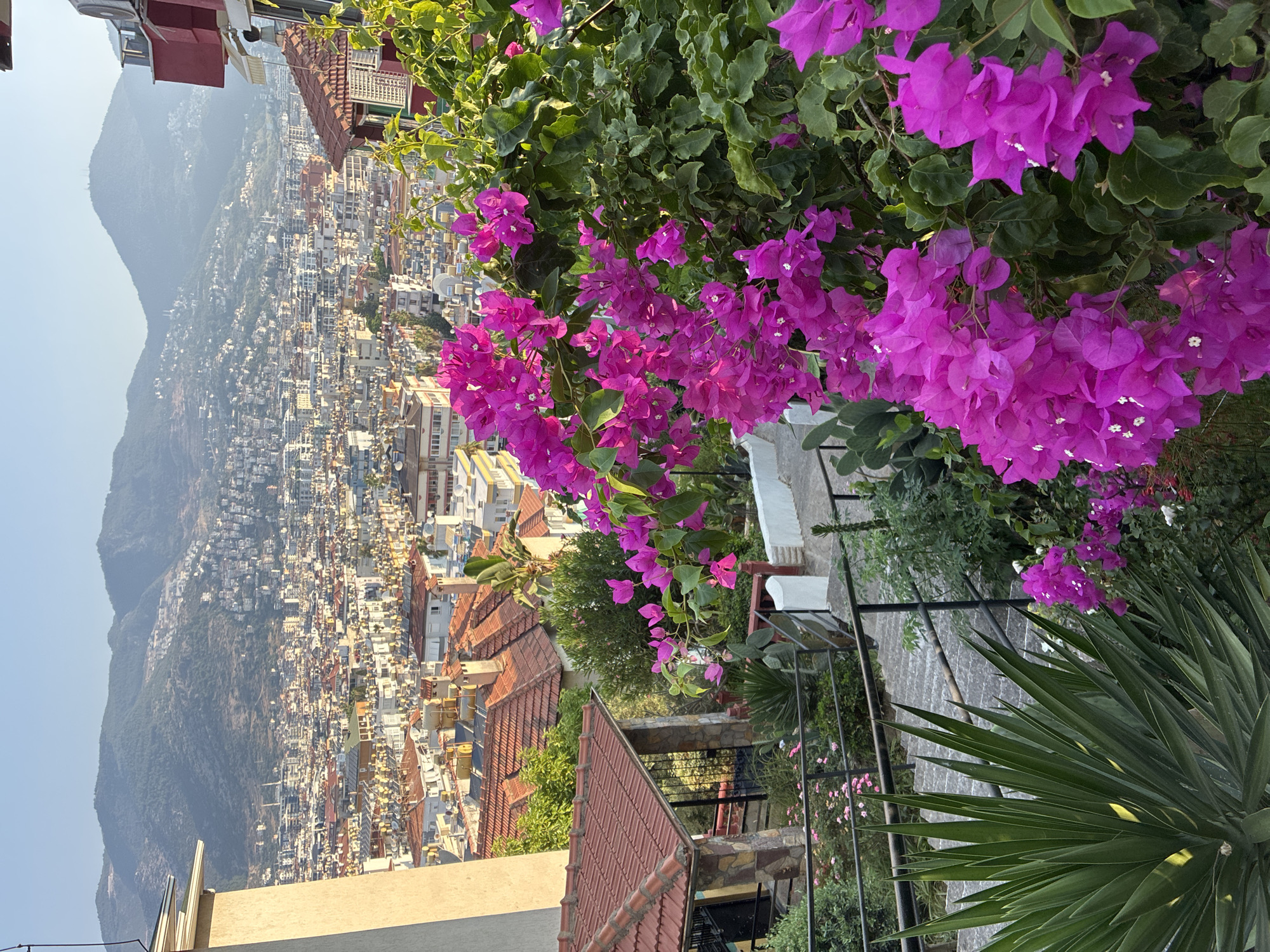 The image shows a scenic view of Alanya, Turkey, from a hilltop overlooking the city and the Taurus Mountains. In the foreground, vibrant pink bougainvillea flowers bloom, contrasting with the lush green foliage. A stone-clad building with a red-tiled roof is partially visible on the left, with a walkway leading down stone steps. The city of Alanya sprawls below, characterized by its dense collection of buildings with red and white rooftops, punctuated by the occasional solar water heaters. The distant mountains, covered in dense green vegetation, serve as a dramatic backdrop under a clear, bright sky. No people are present in the scene. The overall atmosphere is serene and picturesque, capturing the beauty of a Mediterranean coastal city.