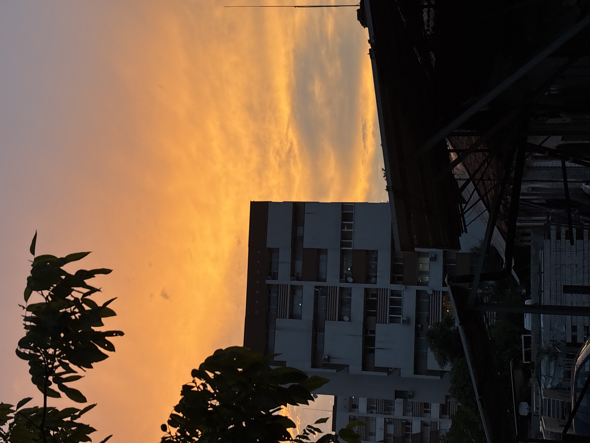 The image depicts a city scene in Zlatograd, Bulgaria, during sunset. The sky is a vibrant gradient of orange and yellow, with scattered clouds. In the foreground, the silhouette of tree branches with green leaves frames the top left of the image. To the right of the branches, a tall, multi-story building with a white and brown facade is visible. It features numerous windows and balconies. In front of this building, and extending towards the right of the frame, is a dark, silhouetted structure with a sloping roof supported by beams, possibly a carport or an industrial shed. The lower part of the image shows a jumble of objects under the shed, including what appear to be stacked materials, possibly construction-related, and the dark silhouette of a vehicle. A thin, dark vertical antenna or pole rises from behind the shed against the sunset sky on the right side of the image. The overall impression is an urban landscape bathed in the warm, diffused light of dusk.