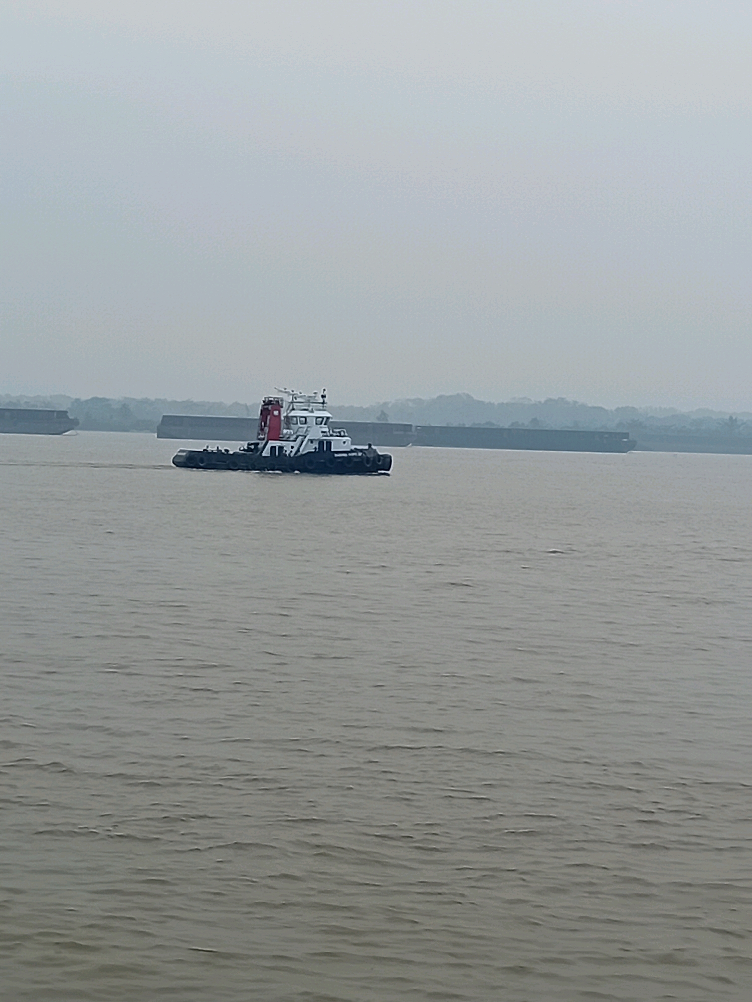 A tugboat with a white hull and a red and white cabin is navigating on the murky waters of the Meriam River in Sungai Meriam, Indonesia. The tugboat is moving from left to right across the frame. In the background, two large barges are moving in the same direction as the tugboat. The barges are dark and rectangular in shape, and they are positioned parallel to each other on the river. The riverbanks are lined with trees and vegetation, and the sky is overcast, creating a hazy atmosphere. The water is choppy, with small waves visible throughout the scene. There are no people clearly visible on the barges, though there may be a single person on the tugboat.