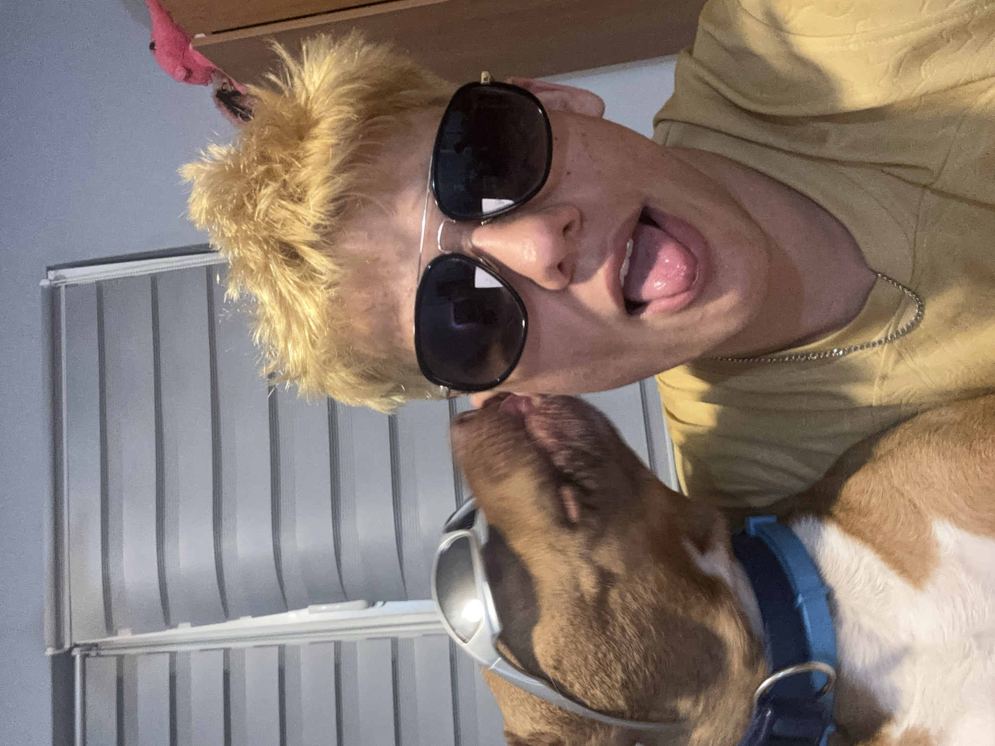 A close-up, rotated view depicts a person and a dog. The person, fair-skinned with blond, spiky hair, is wearing sunglasses, a yellow shirt and a silver chain. The person’s tongue is sticking out. The dog has brown and white fur and is wearing silver-rimmed glasses and a blue collar. The dog's nose appears to be close to the person's face. In the background are vertical blinds and what appears to be the edge of a wooden cabinet. There is no indication in the image that suggests this image was taken in Sofia, Bulgaria.