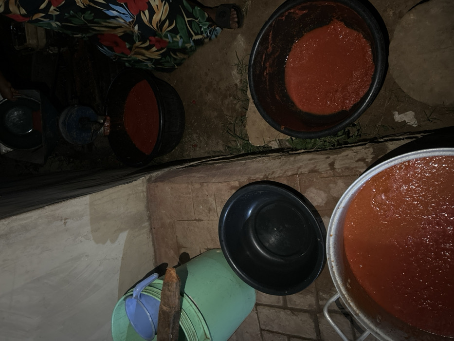Several buckets contain a red, pulpy liquid, possibly tomato sauce. Some buckets are black, while others are green. A large silver pot also holds the red liquid. An empty black bowl is near the green buckets. A person in a floral dress stands near other buckets with the liquid, and a blue scoop sits inside one of the buckets. The scene appears to be outside and illuminated by artificial light.
