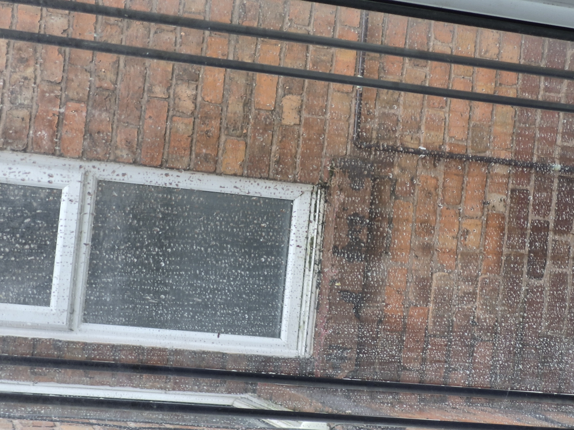 An exterior, medium shot captures a brick wall partially obscured by a rain-streaked window with dark metal bars in the foreground, taken from the vicinity of Sandwell, United Kingdom. The brickwork is composed of weathered, orange and red bricks, with some areas showing signs of wear and discoloration. The window, framed with white trim, is covered in numerous raindrops, distorting the view of what lies beyond. Dark, vertical metal bars run across the scene, creating a sense of confinement or security. The overall impression is one of a dreary, wet day, common to the climate of Sandwell.