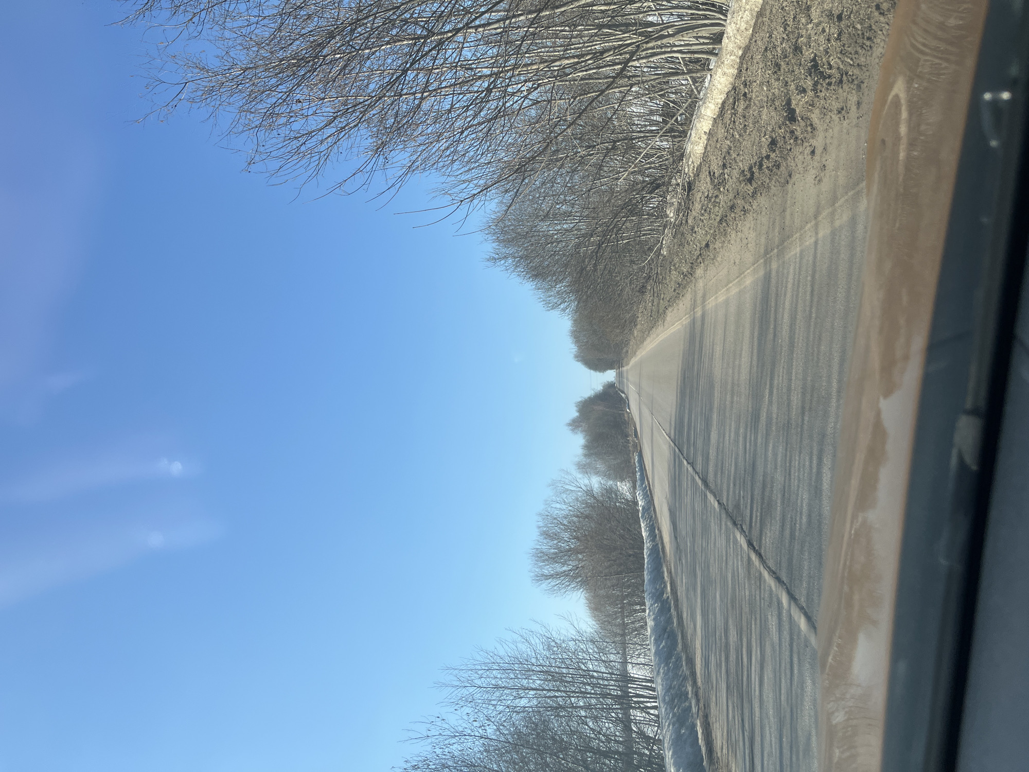 The image depicts a two-lane asphalt road in Myakinino, Russia, extending into the distance under a clear, bright blue sky. The road surface exhibits cracks and a faded white center line. Bare deciduous trees and dense brush line both sides of the road, casting long shadows across the asphalt. Patches of melting snow mixed with muddy soil are visible along the road shoulders and ditches. No people or other vehicles are present in the visible road section. The foreground is occupied by the top edge of a vehicle's dashboard, appearing brown-orange, indicating the perspective is from inside a moving or stationary vehicle.