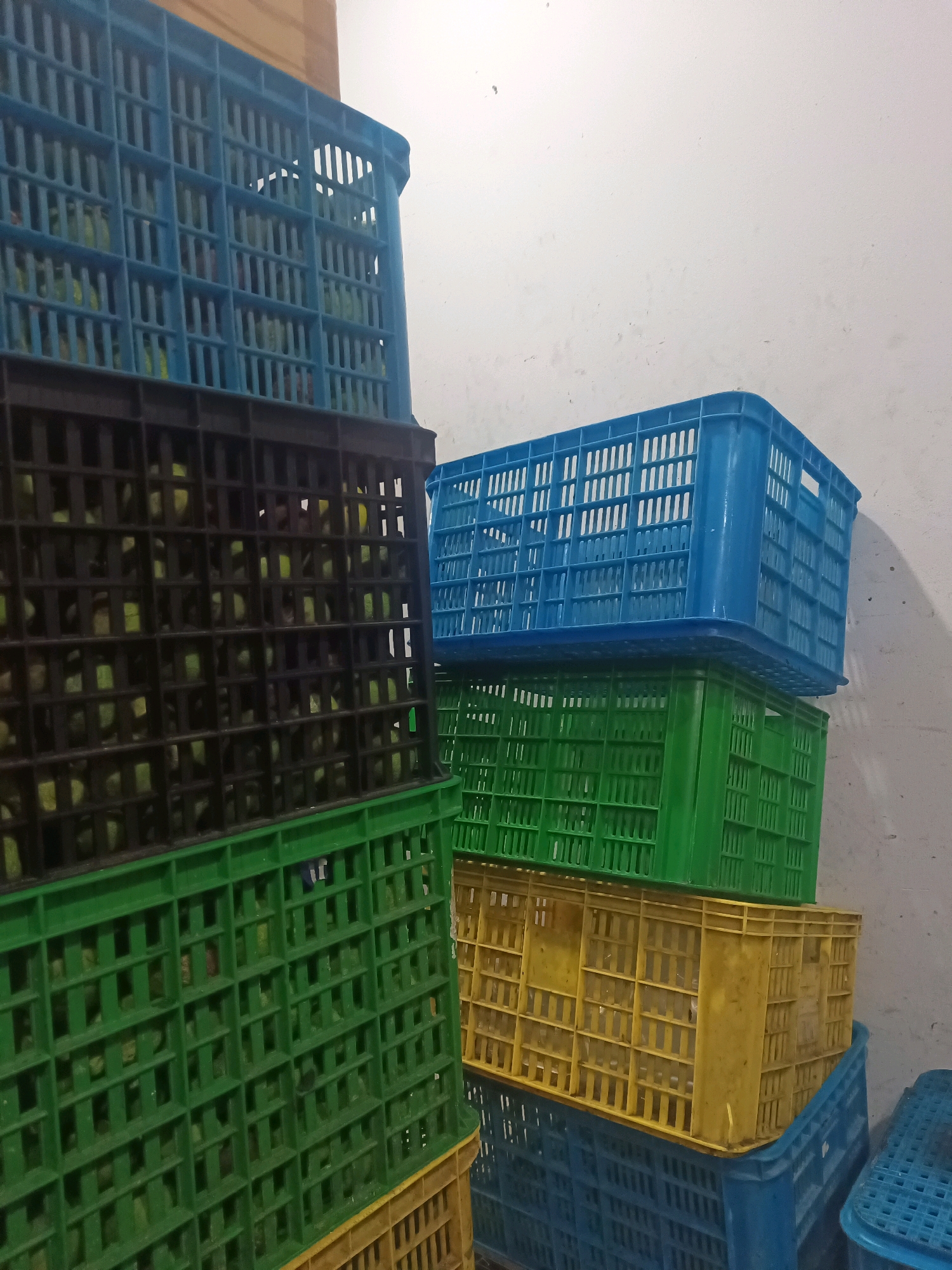 In North Jakarta, Indonesia, a stack of colorful plastic crates is positioned against a white wall. The crates are predominantly blue, green, and yellow, with one black crate visible in the foreground. The crates are filled with what appear to be small, green fruits or vegetables. The lighting suggests an indoor setting, possibly a storage area or market. The image is taken from a slightly low angle, emphasizing the height of the stacked crates.