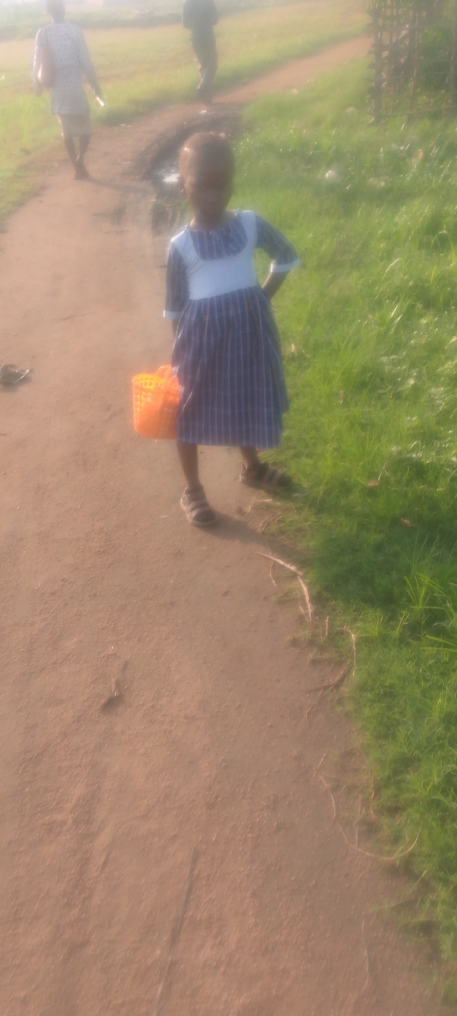 A young Black girl stands on a dirt path, facing the camera. She is wearing a blue and white checkered dress with a white bib. A bright orange plastic basket is held in her left hand. She is wearing brown sandals. To her left, a blurry figure of a woman in a white top and light-colored skirt walks away from the camera. Further in the background, another blurry figure walks away. The path is flanked by green grass on the right. The scene appears to be outdoors in a rural or semi-rural setting. The lighting suggests it is daytime, possibly late afternoon due to the warm tones. The overall image is slightly out of focus. The location is the city of Jalingo, Nigeria.