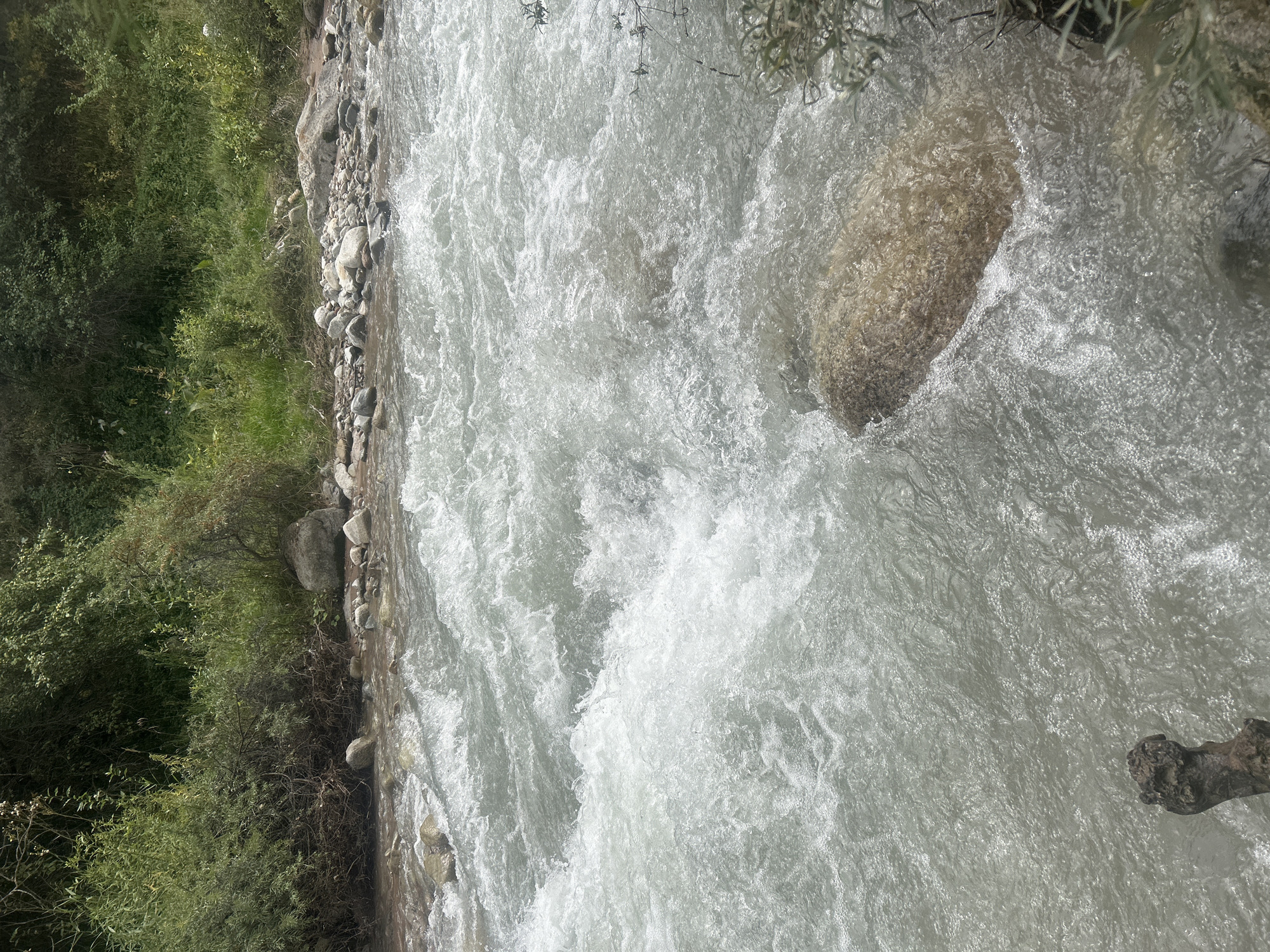 The image shows a fast-flowing, clear river with whitewater rapids in the city of Koklaisai, Kazakhstan. The riverbed is filled with rocks and stones, and the banks are lined with lush green vegetation and trees. The water appears turbulent, with many ripples and splashes, suggesting a strong current. The scene captures the natural beauty of a mountain river, with the surrounding greenery providing a stark contrast to the dynamic movement of the water. There are no people or animals visible in the image. The lighting suggests it is daytime, with the sun casting a bright light on the water, creating reflections and highlights.