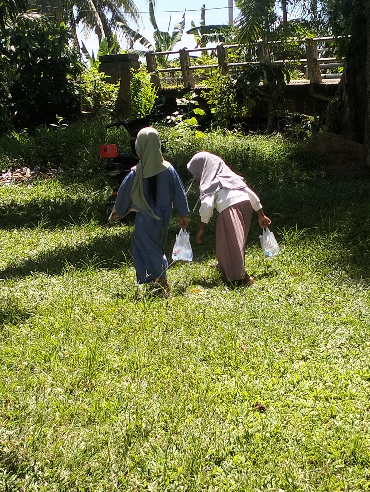 In Meunasahalue, Indonesia, two individuals wearing hijabs are walking across a grassy area. The person on the left is dressed in a blue abaya and a light green hijab, holding a plastic bag in their right hand. The individual on the right is wearing a white top and a pink skirt, also holding a plastic bag in their right hand. They are walking away from the camera, towards a bridge in the background. The environment is lush and green, with trees and foliage surrounding the scene. The lighting suggests it is daytime, with sunlight casting shadows on the grass.