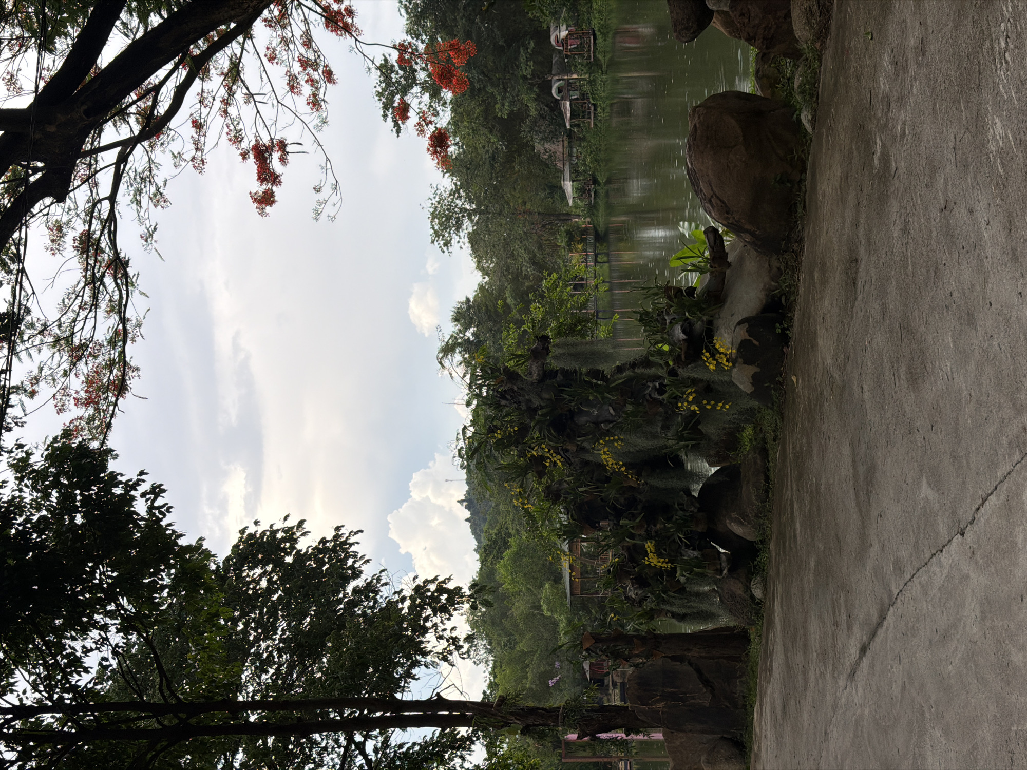 This image depicts a serene natural landscape, likely a park or recreational area, situated in Khánh Vĩnh, Vietnam. The foreground features a paved pathway, appearing slightly weathered with a visible crack running diagonally. To the left of the pathway, a large, dark-barked tree stands prominently, its dense foliage casting shadows. Adjacent to the tree are several large, irregularly shaped rocks.
The middle ground showcases a lush arrangement of plants, including what appear to be orchids with yellow blossoms and hanging moss-like vegetation. This botanical display is interspersed with more rocks. Beyond this, a tranquil body of water reflects the overcast sky and the surrounding greenery. Along the water's edge, several small, rustic structures are visible, resembling gazebos or small shelters, some with peaked roofs. A wooden bridge or walkway extends into the water from the left side of the frame.
The background is dominated by a dense forest, with rolling hills rising in the distance. The sky is filled with white, puffy clouds, suggesting a partly cloudy day. In the upper right corner of the image, branches of a tree with vibrant red flowers add a splash of color to the scene. There are no people visible in the image. The overall impression is one of natural beauty and peacefulness.
