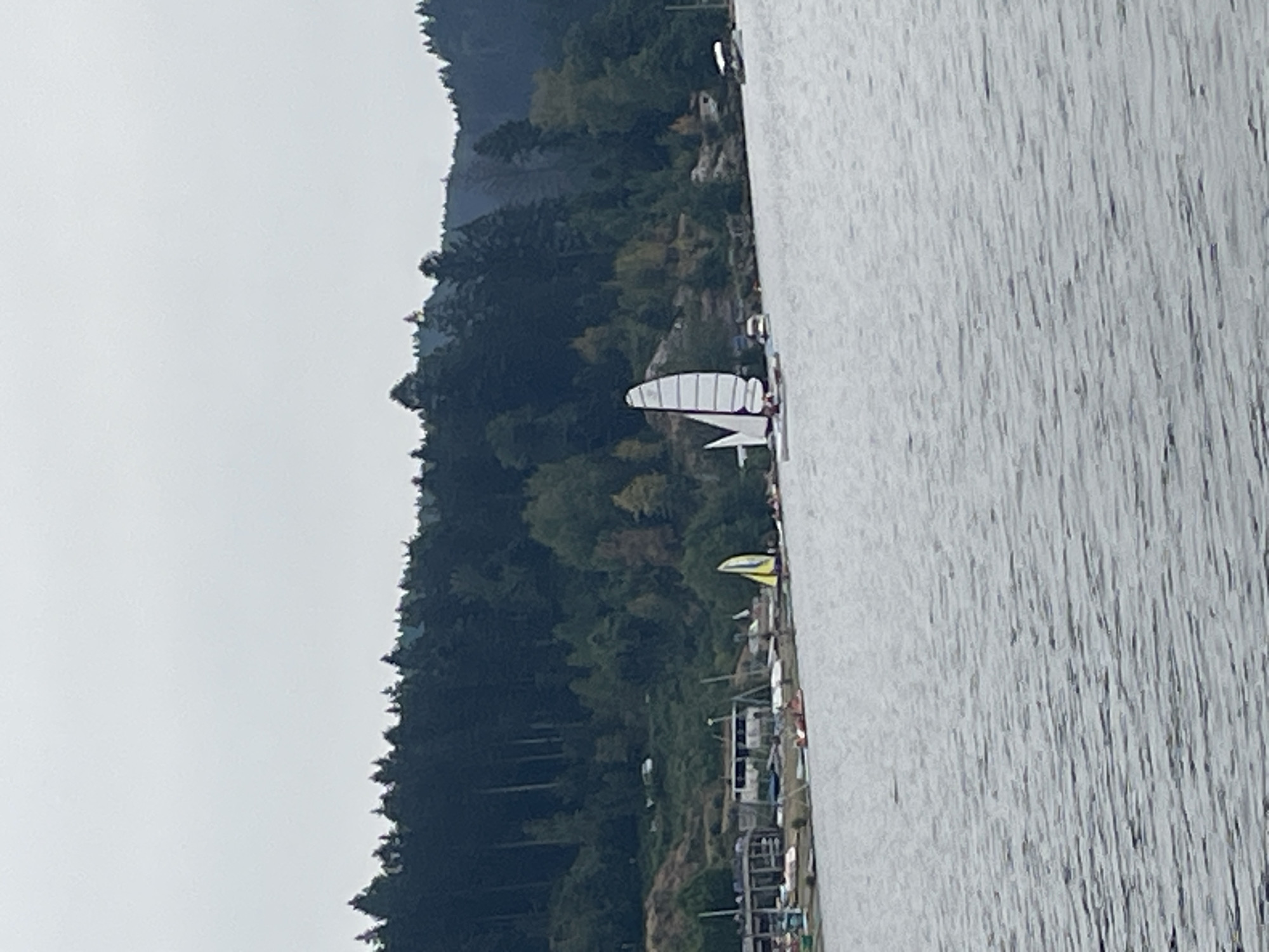The image captures a serene view of the lake in Gérardmer, France, under an overcast sky. The water's surface is rippled, suggesting a gentle breeze. In the distance, a lush, dark green forest blankets the rolling hills that form the backdrop of the scene. Along the shoreline, a small cluster of buildings, likely part of a waterfront facility, is visible, with several boats docked or moored nearby.
The focal point of the image is the lake itself, dotted with several sailboats. One prominent sailboat, with a tall, white, triangular sail, is positioned in the middle ground, appearing to be in motion. To its left, a smaller sailboat with a yellow sail is also visible. Further out on the water, other small vessels can be discerned, though less clearly.
The foreground is dominated by the vast expanse of the lake, with its textured surface reflecting the muted light of the day. The overall impression is one of tranquility and a typical lakeside activity on a cloudy day in Gérardmer.