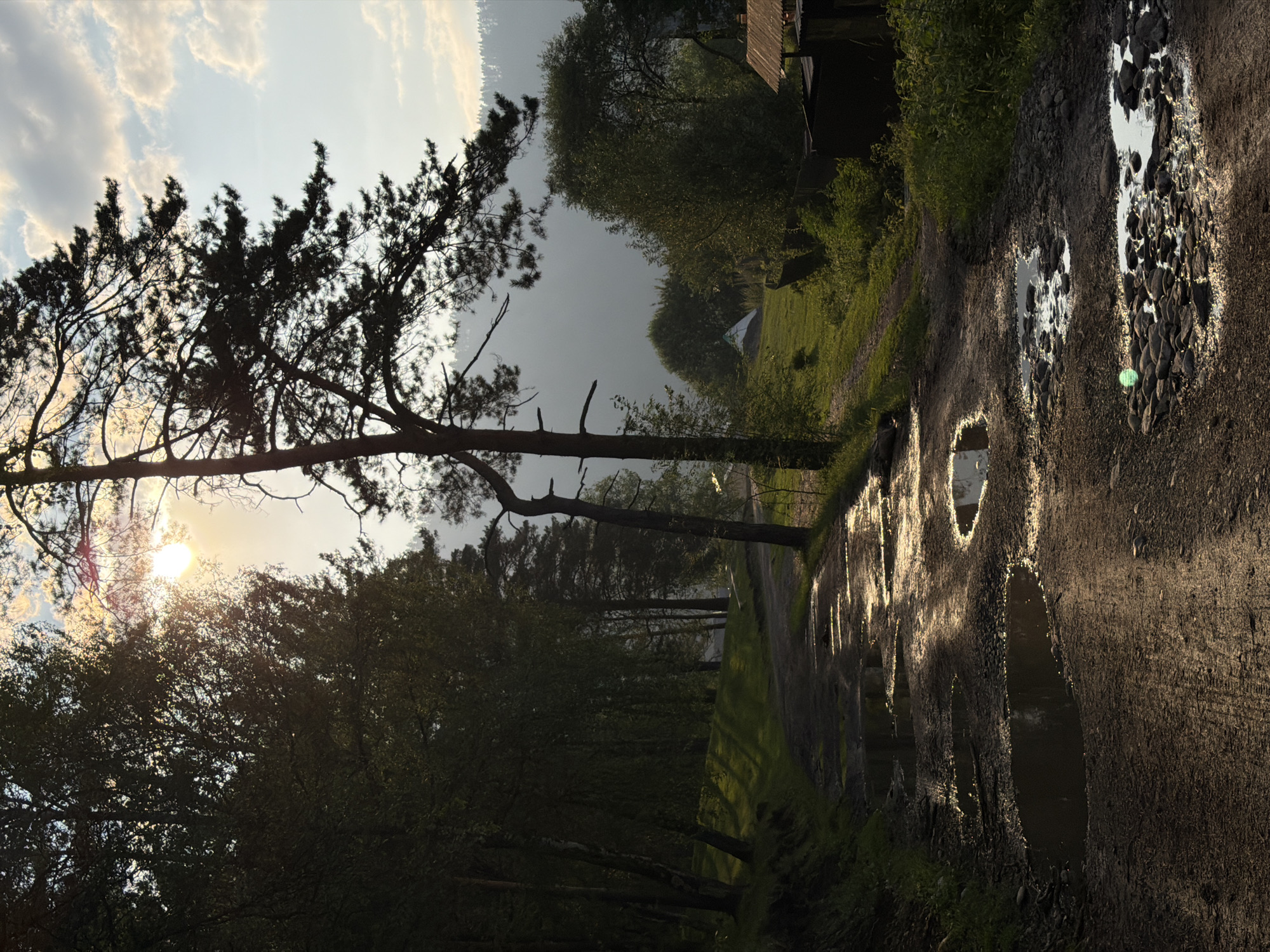 The image depicts a dirt road in the village of Askat, Russia, with puddles reflecting the sunlight filtering through trees. The road appears muddy and uneven, with small stones scattered on its surface. Dense foliage lines the left side of the road, creating a shaded area. On the right, the terrain slopes upwards, covered in grass and trees. In the distance, a hazy mountain range can be seen. A few rustic structures, possibly sheds or small buildings, are visible on the right side of the road. The sun is setting or rising, casting a warm glow and long shadows. There are no people or animals present in the image.