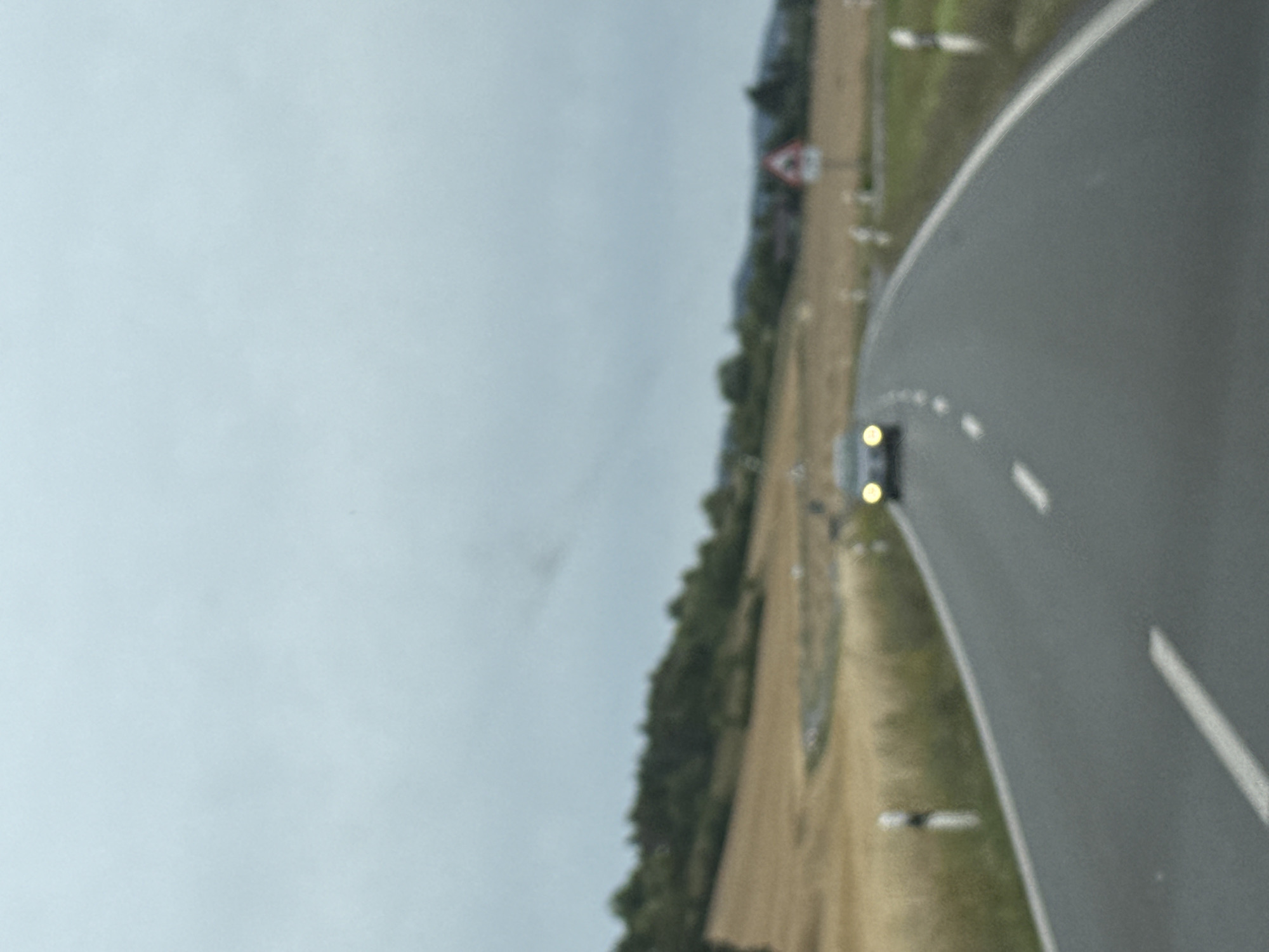 The image depicts a blurred view from inside a vehicle traveling on a paved road in Ellrich, Germany. The road curves to the right, with white dashed lines marking the lanes. On the right side of the road, a triangular warning sign with a red border and a white background is visible, indicating a curve or hazard. Several white poles with black markings are spaced along the right shoulder of the road.

The landscape on either side of the road consists of a field of dry, golden grass or crops and a wooded hillside. The sky is overcast and a pale blue-grey. In the distance, on the road ahead, another vehicle with its headlights illuminated is approaching. The overall scene suggests an outdoor, rural setting in the daytime, under cloudy weather conditions.